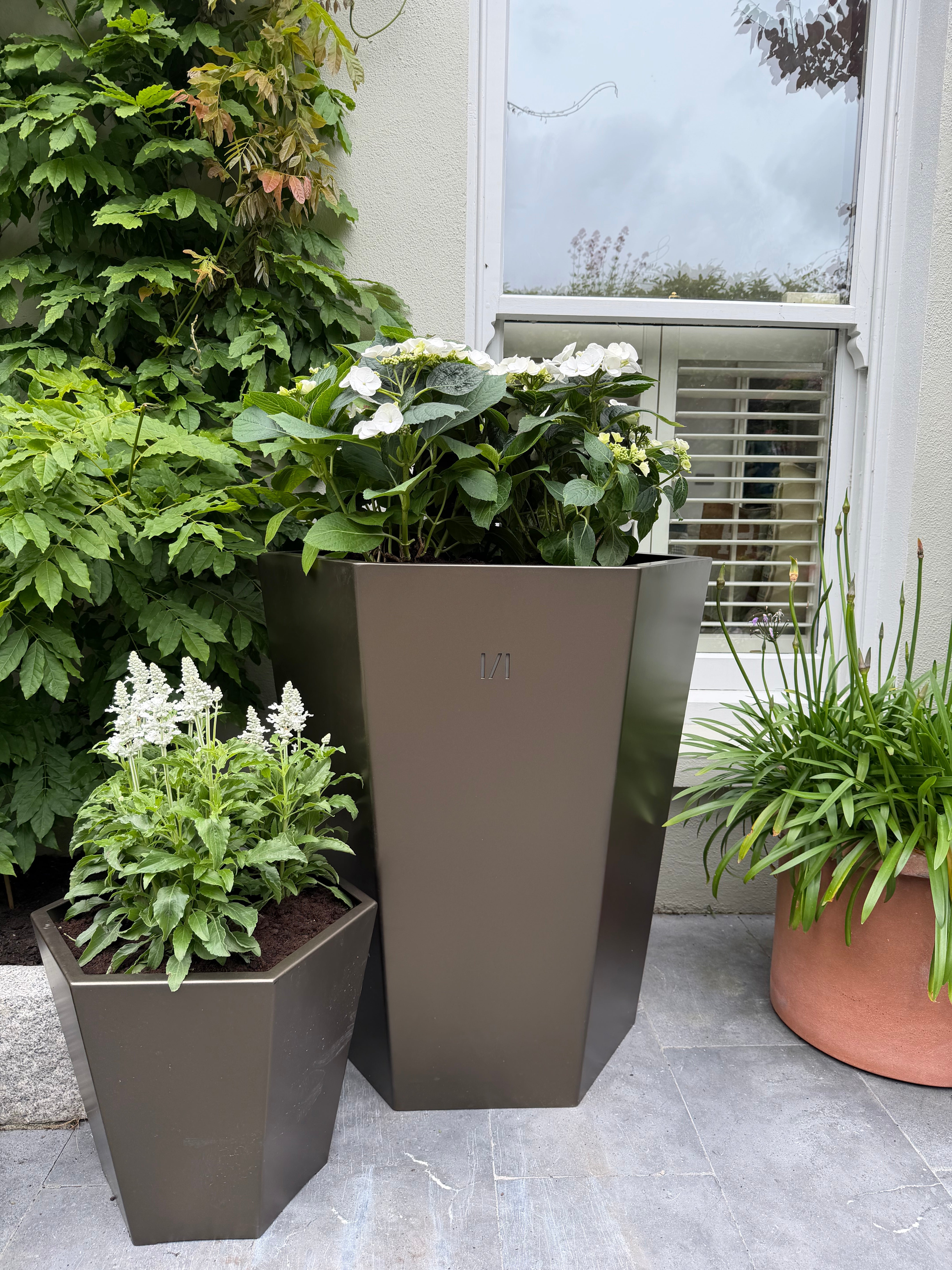 Raised Beds