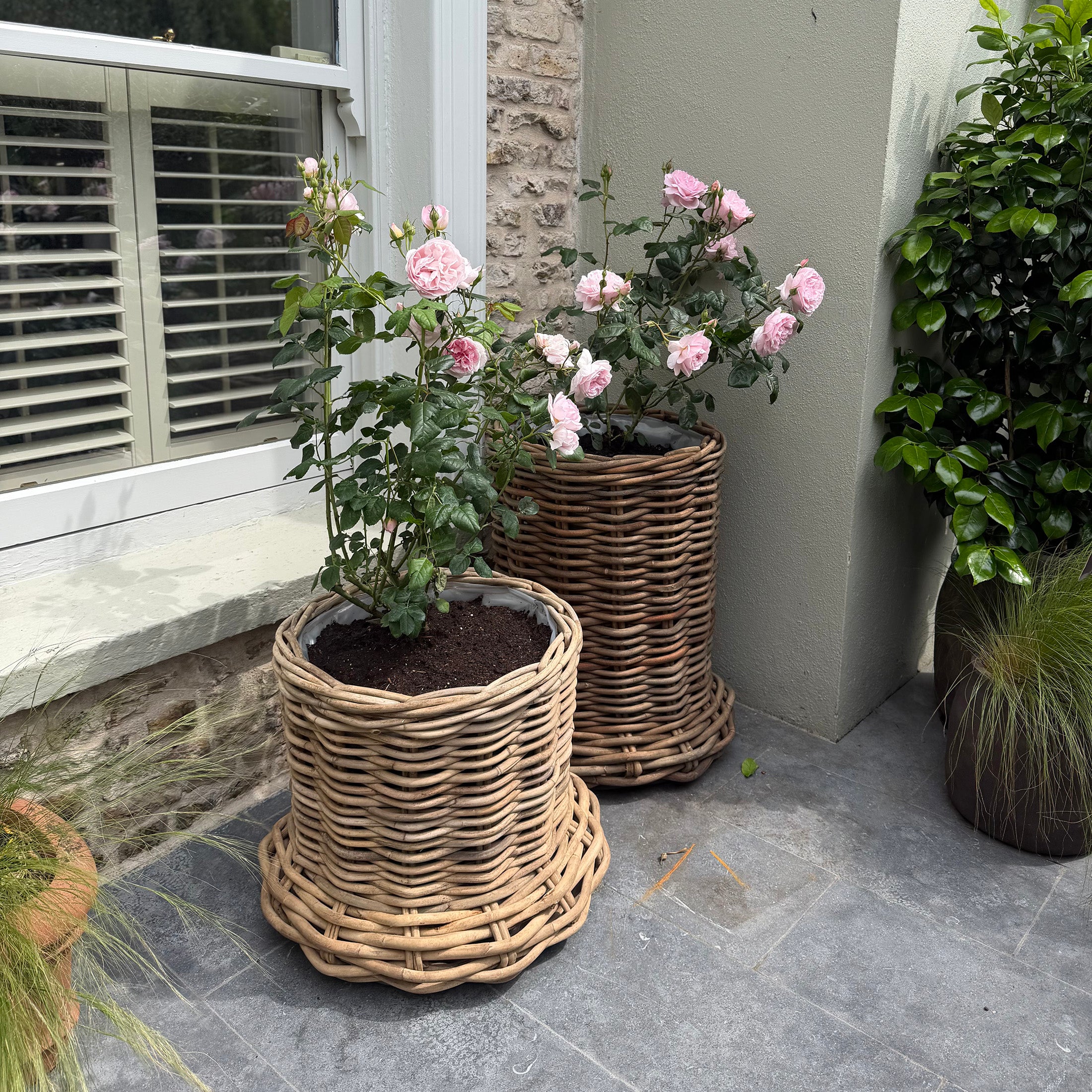 Beautiful Large Rattan Grey Pot