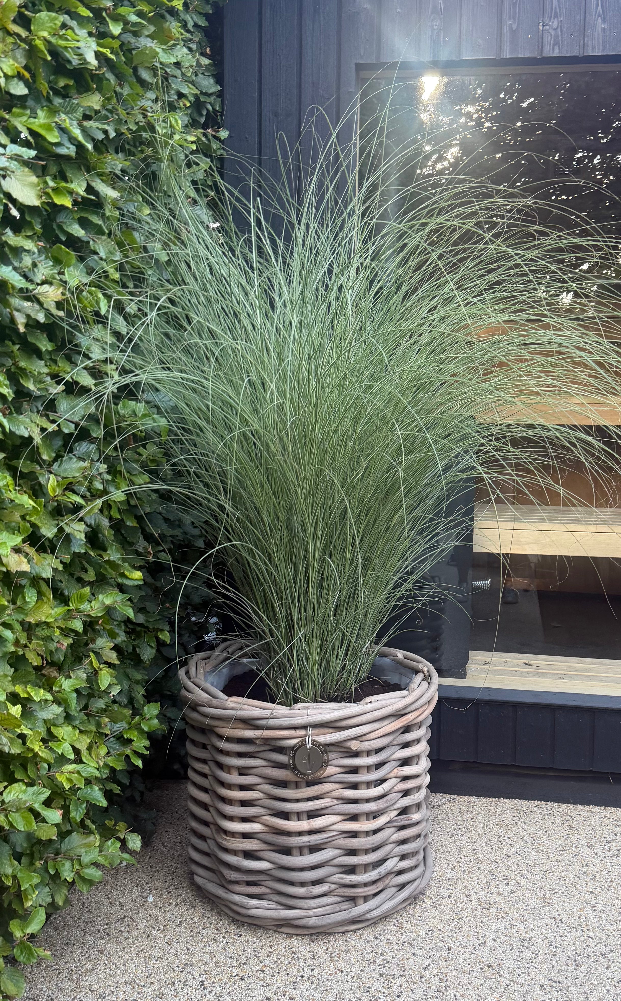 X Large Round Rattan Pot