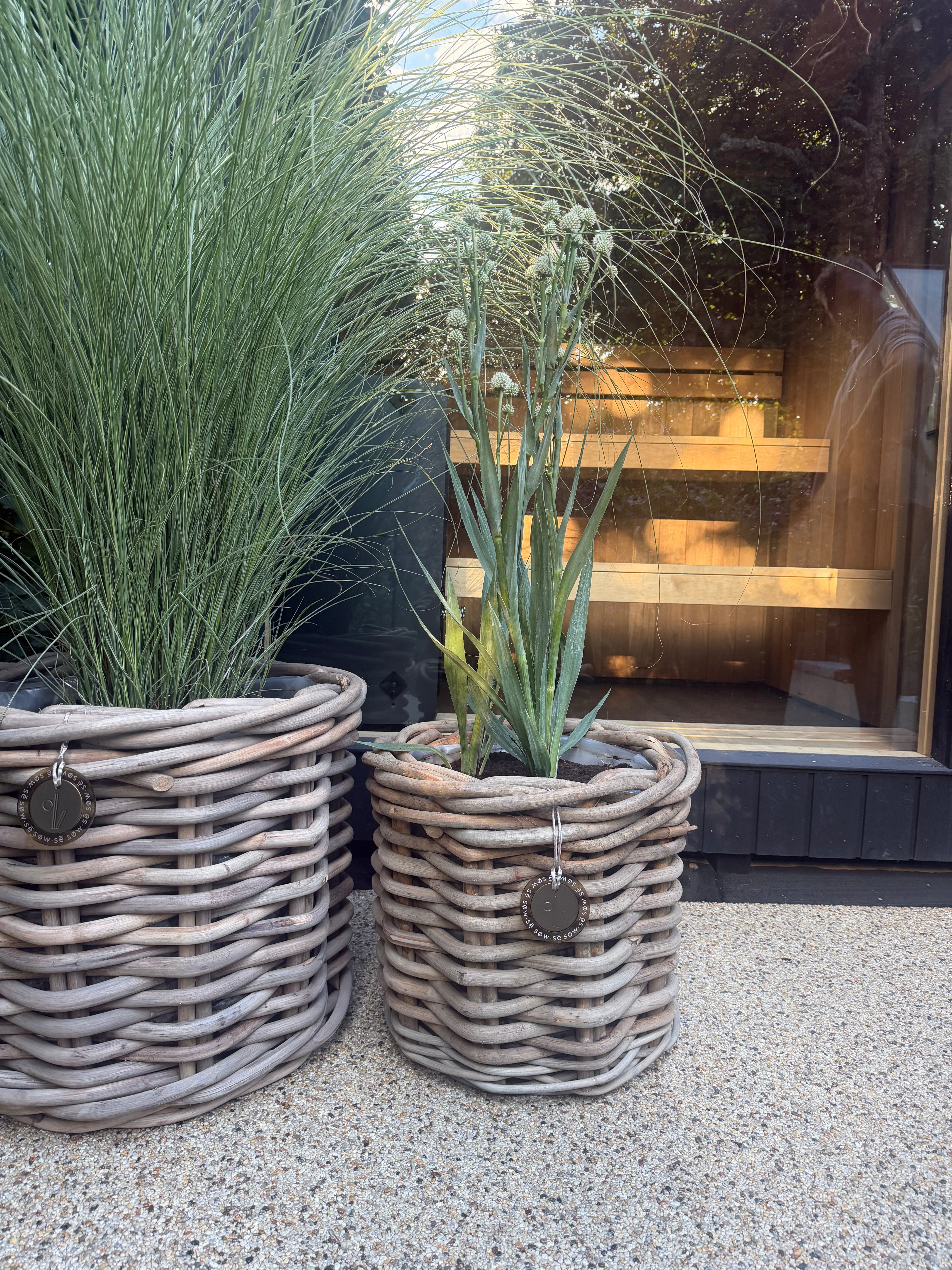 Small Round Rattan Pot