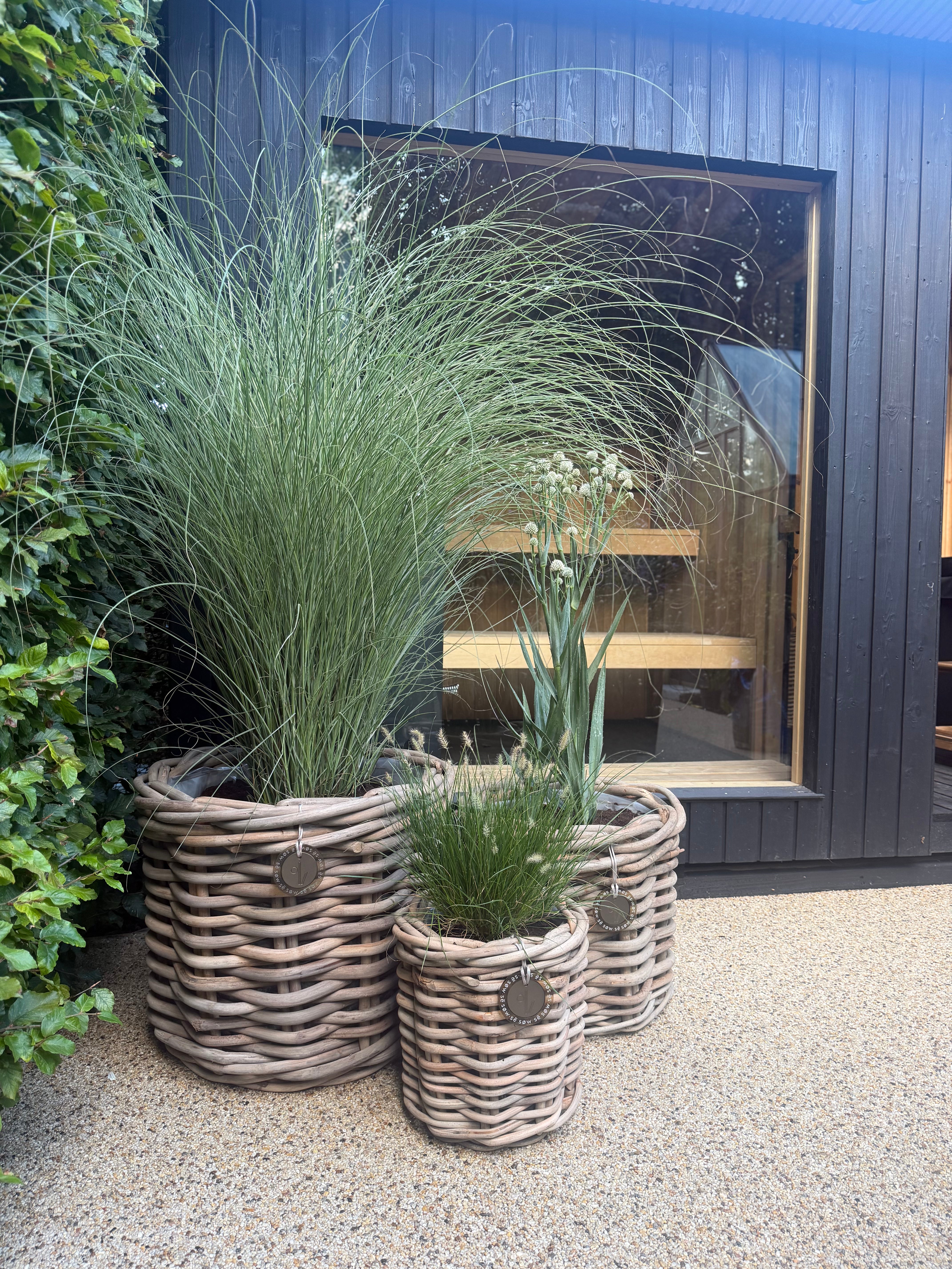 Small Round Rattan Pot