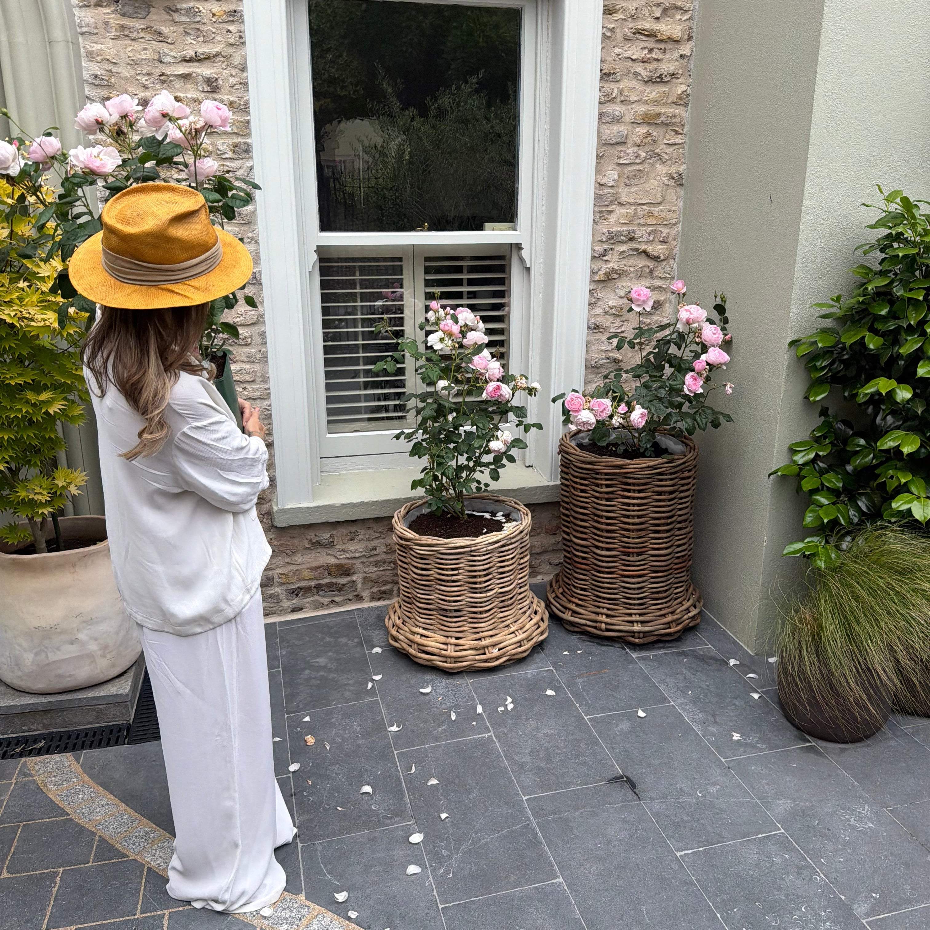 Beautiful Large Rattan Grey Pot