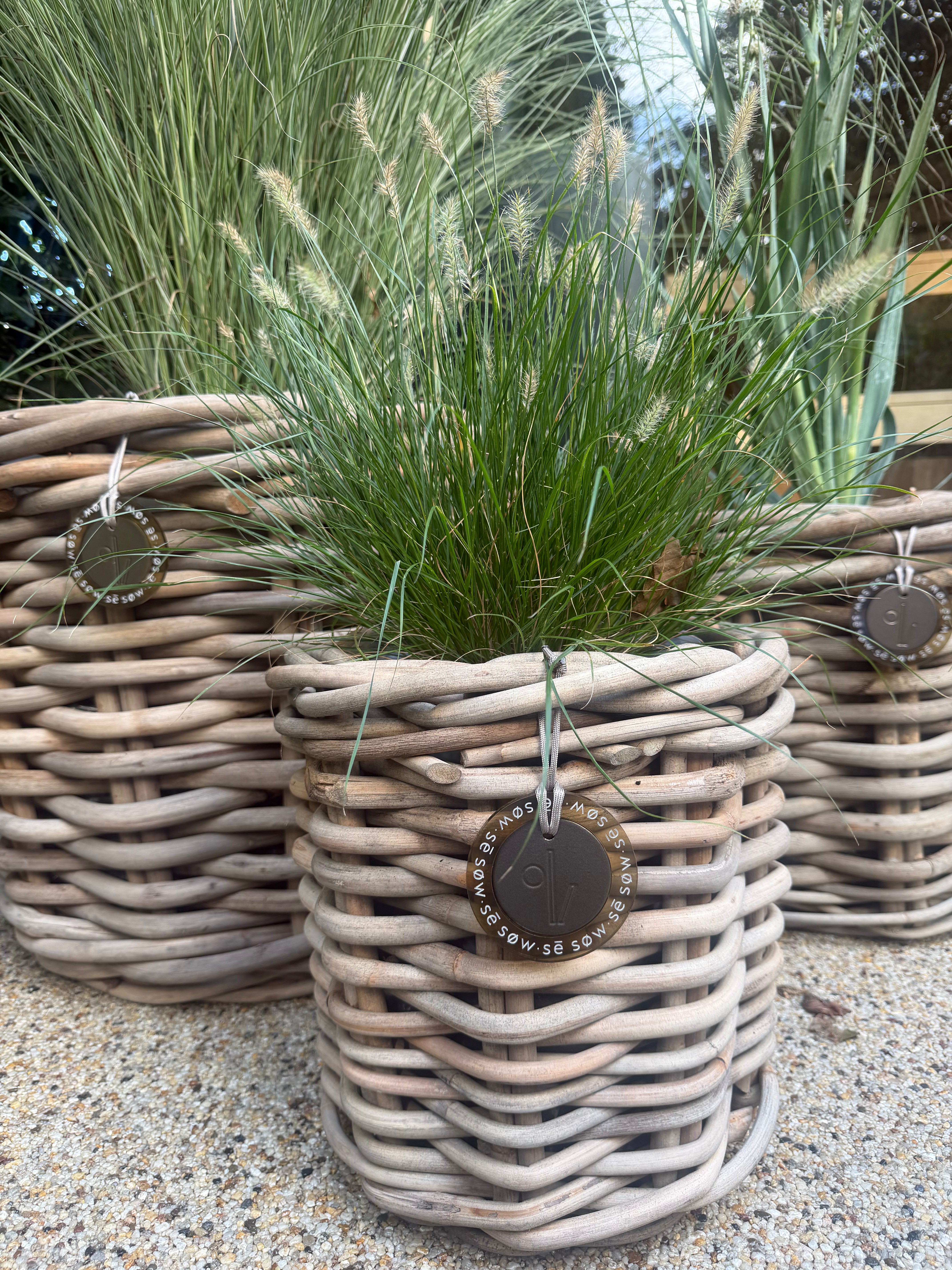 Small Round Rattan Pot