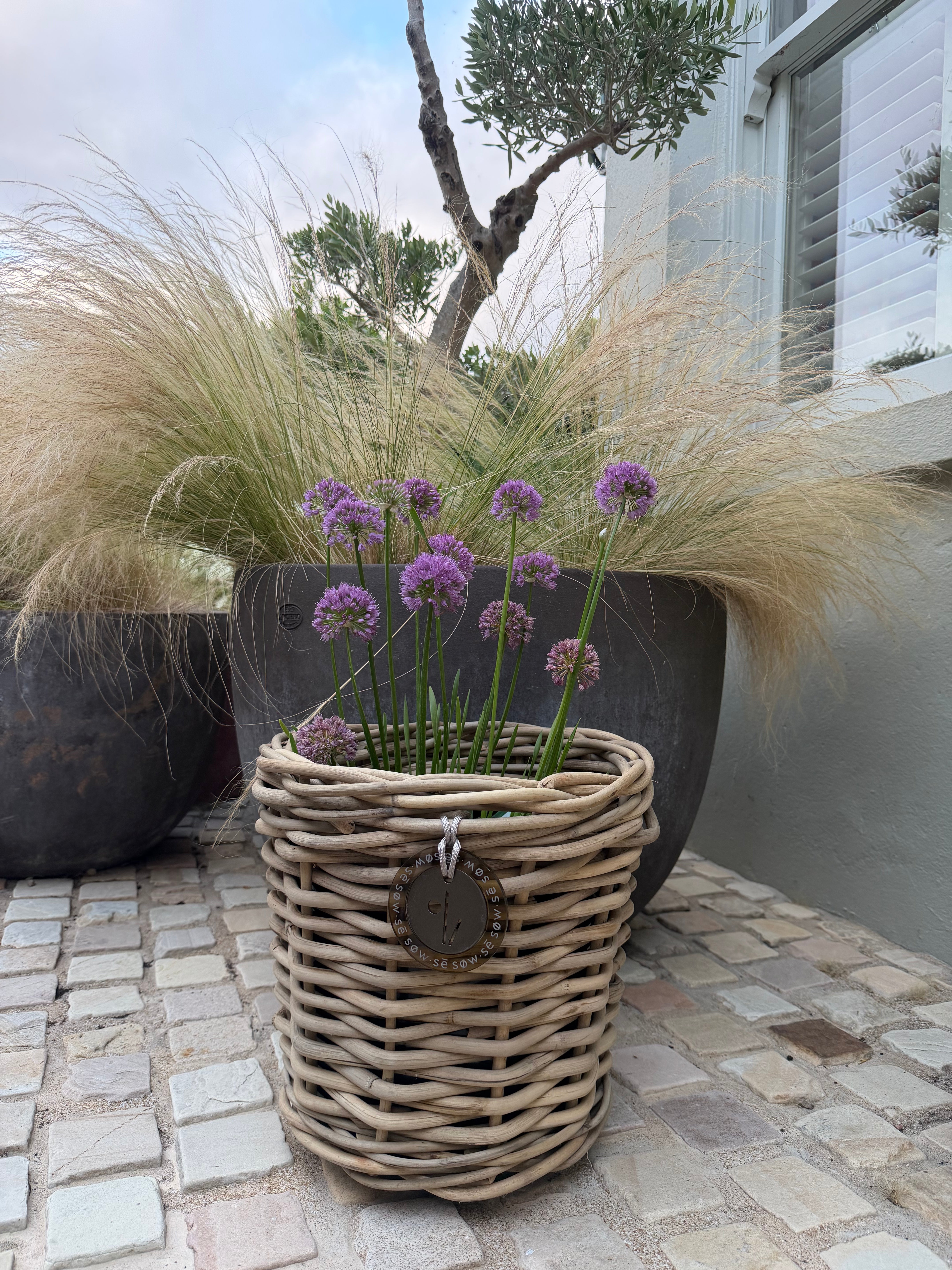 Beautiful Small Rattan Grey Pot