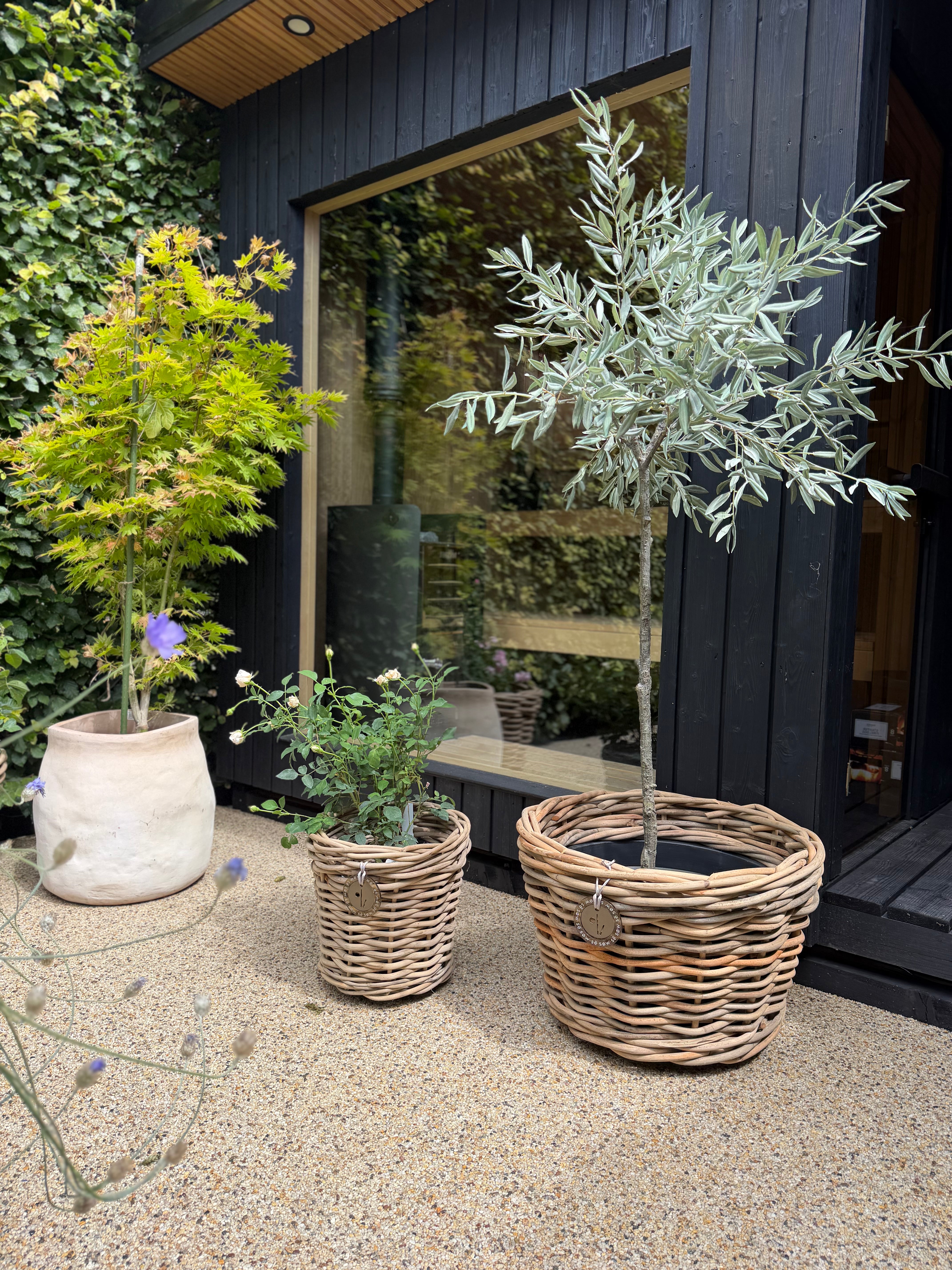 Beautiful Medium Rattan Grey Pot