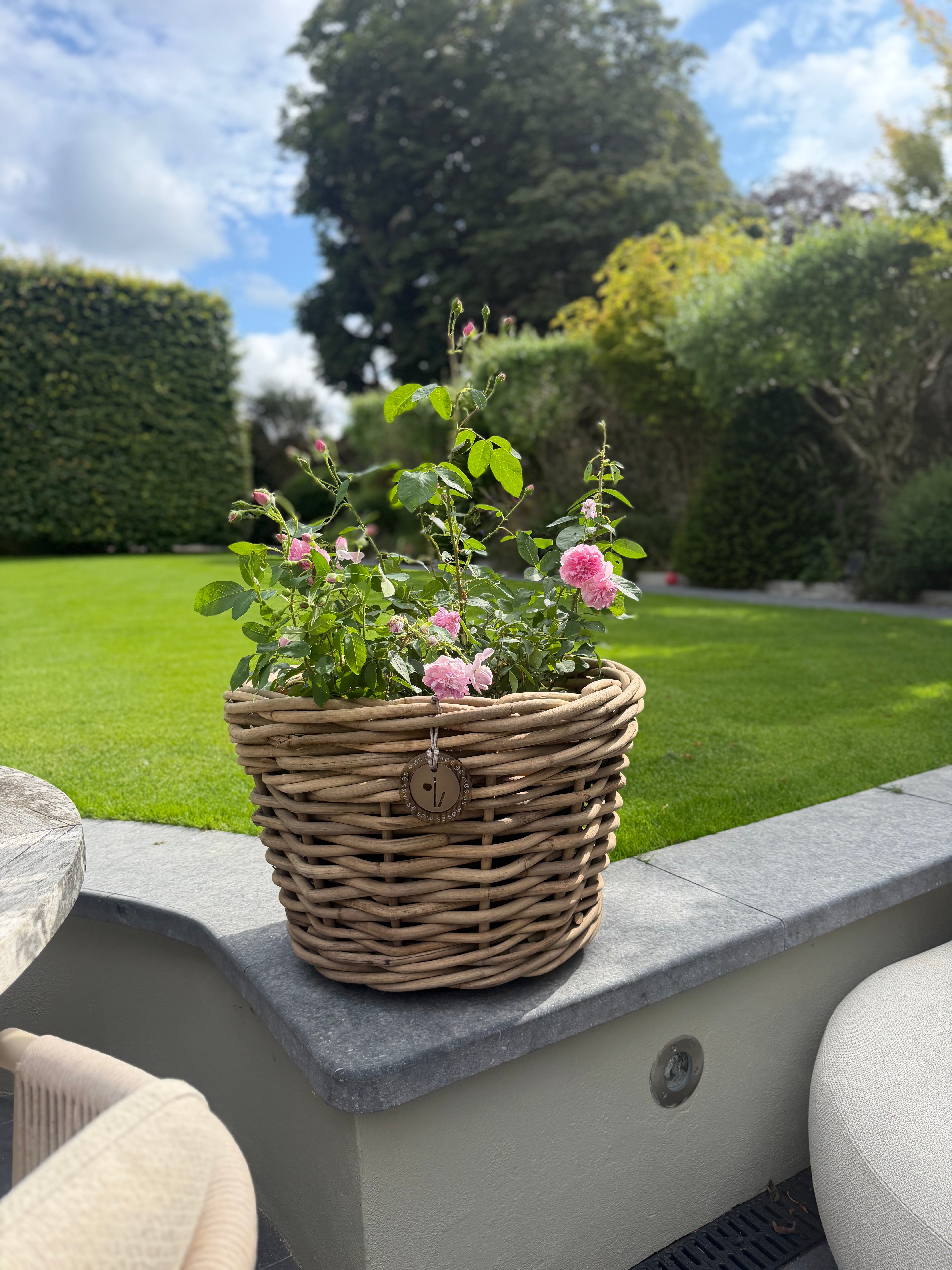 Beautiful Medium Rattan Grey Pot