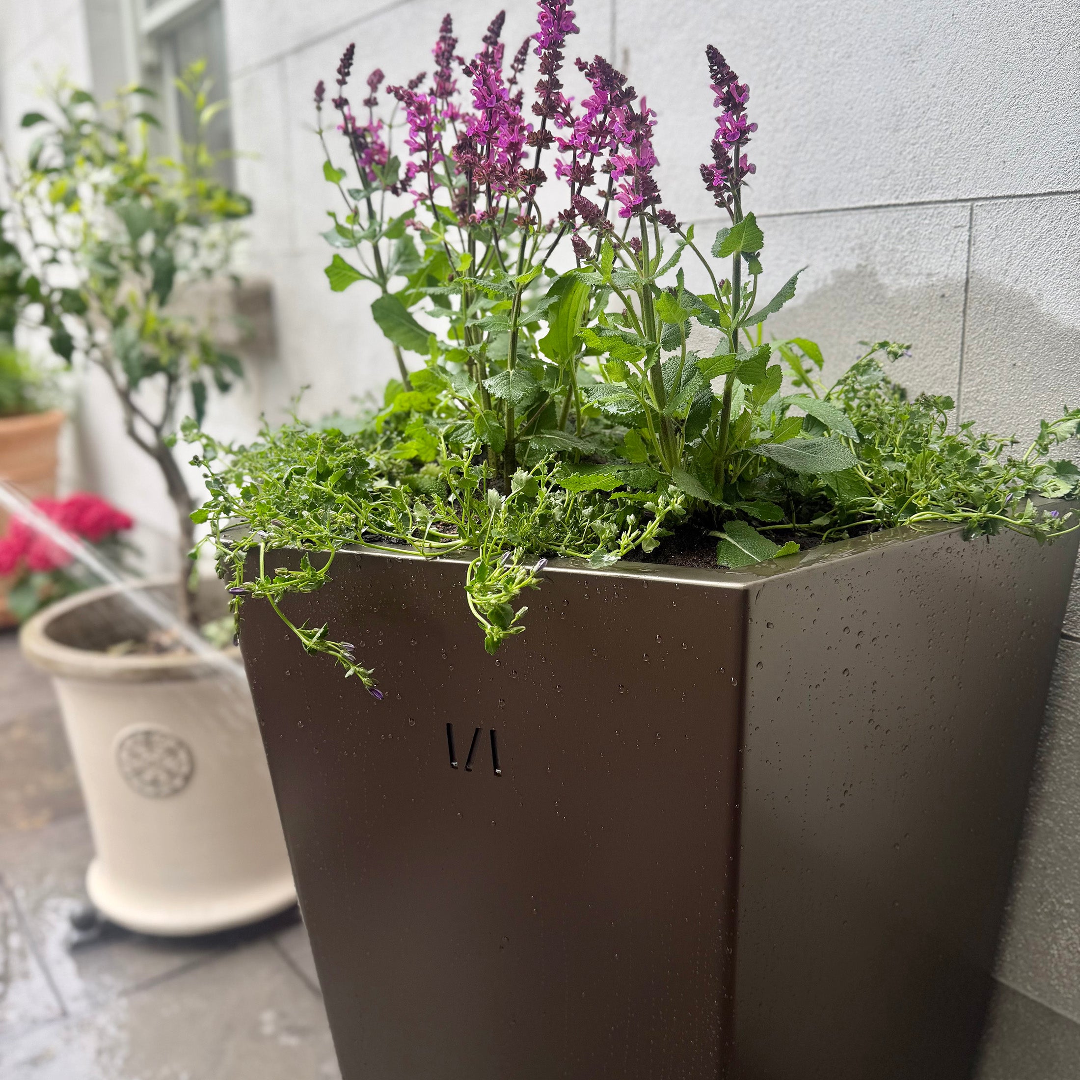 Extra Large Bronzed Flat-Back Planter