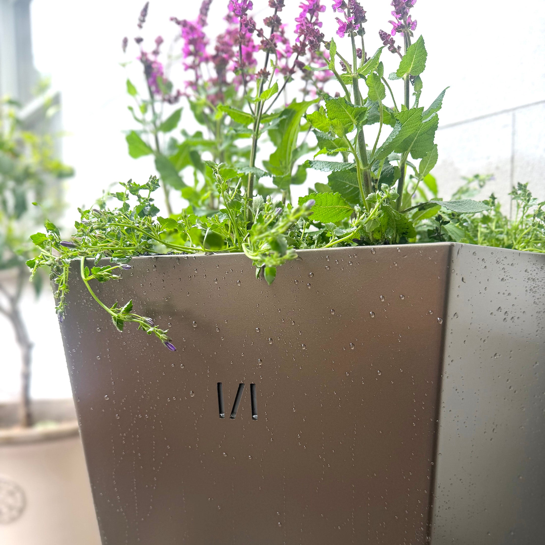 Extra Large Bronzed Flat-Back Planter