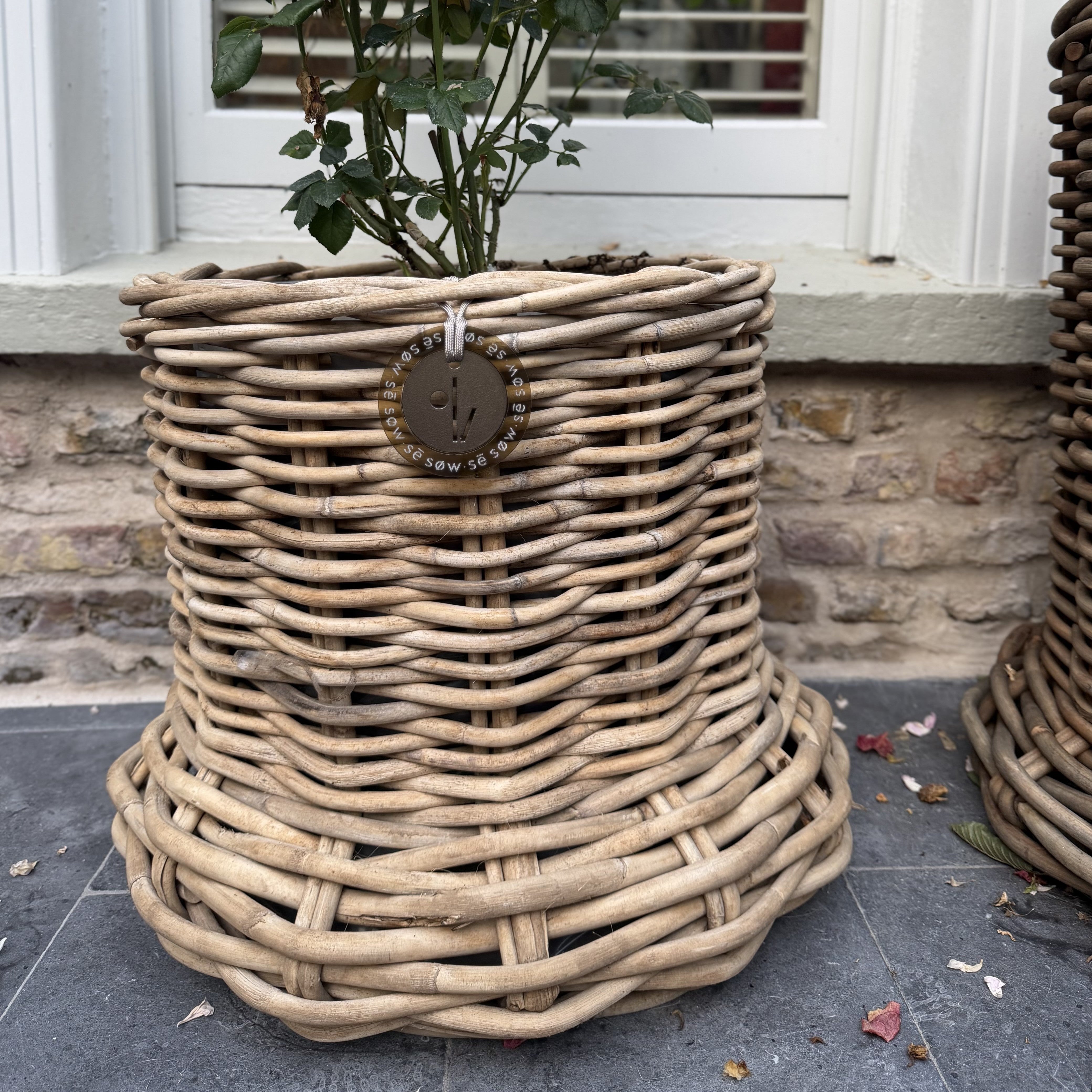 Beautiful Large Rattan Grey Pot