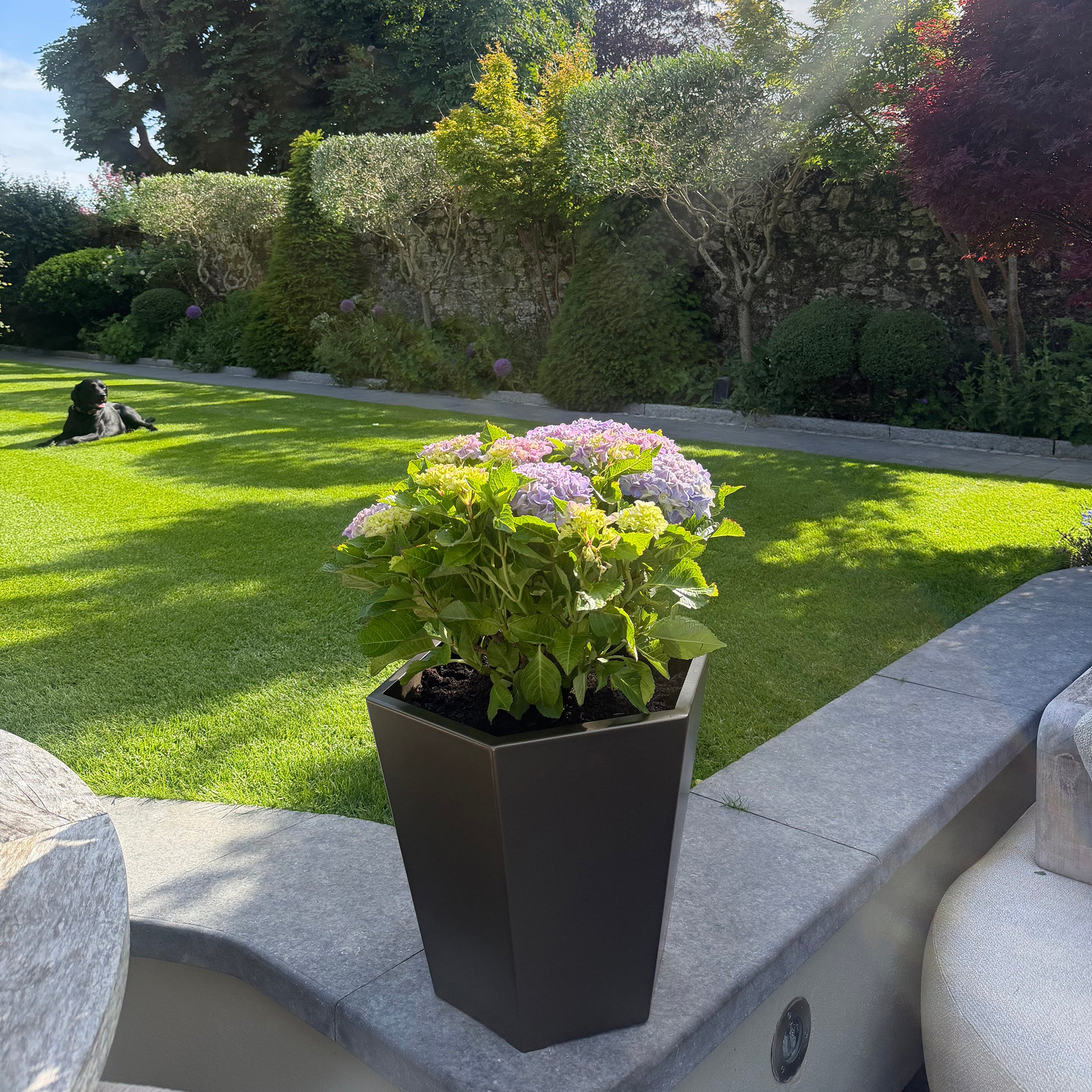 Medium Bronzed Steel Planter