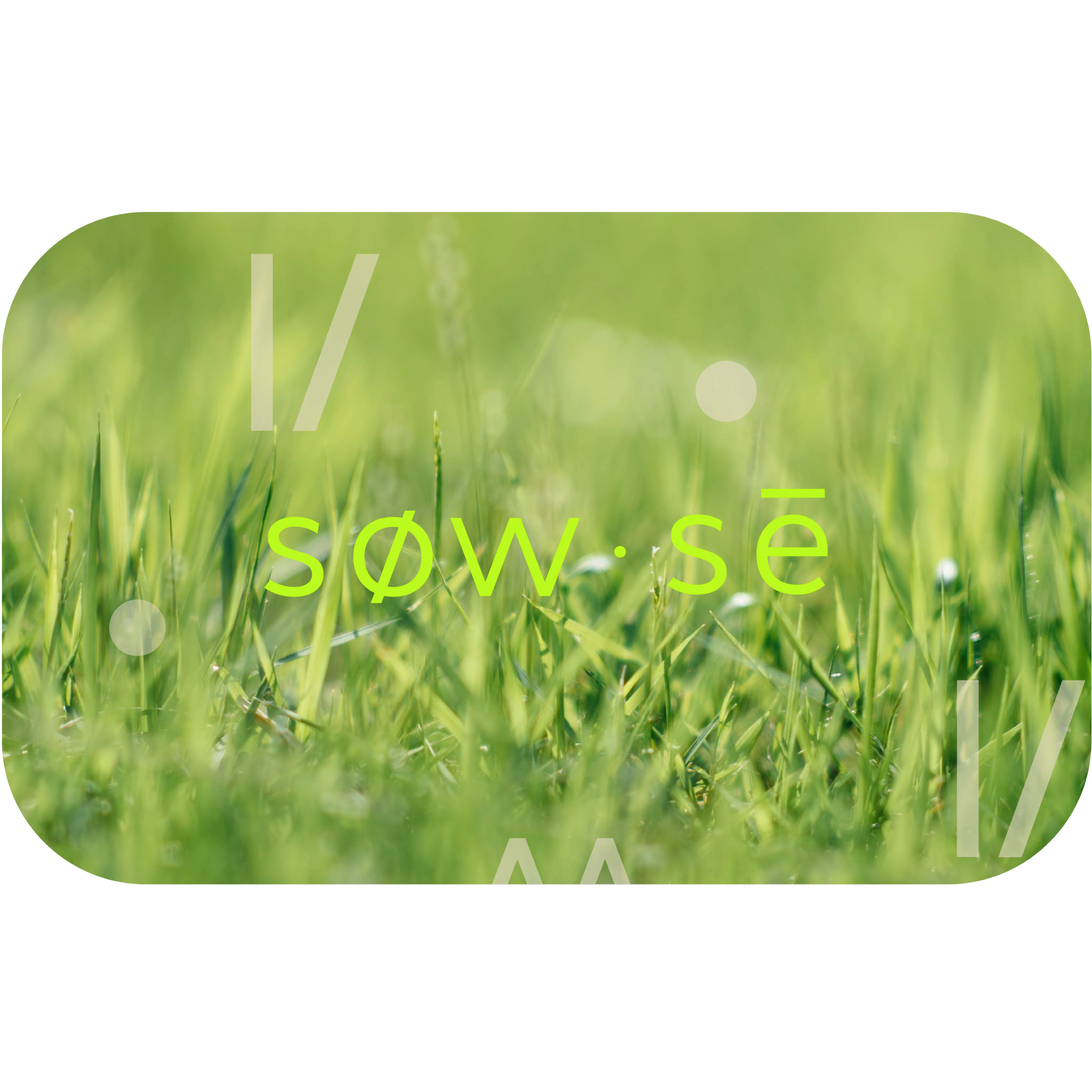 The sow‑sé Gift Card