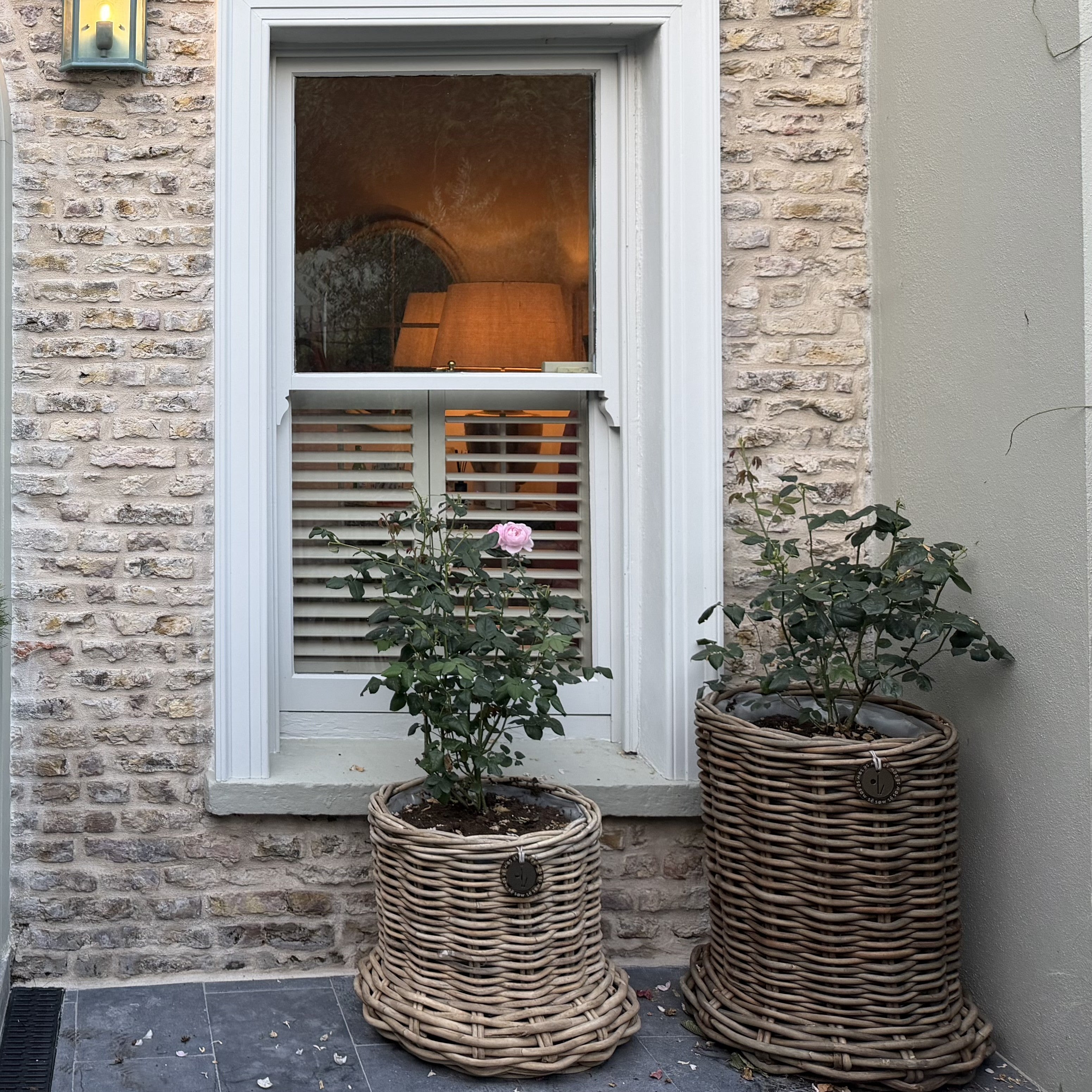 Beautiful X-Large Rattan Grey Pot