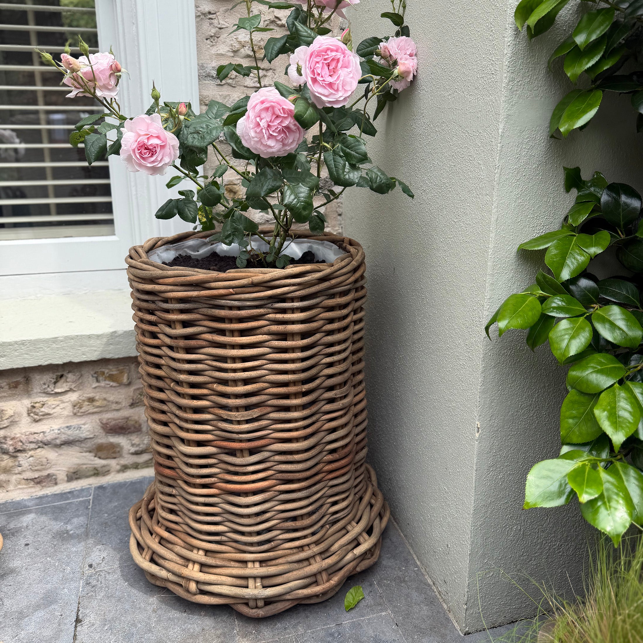 Beautiful X-Large Rattan Grey Pot