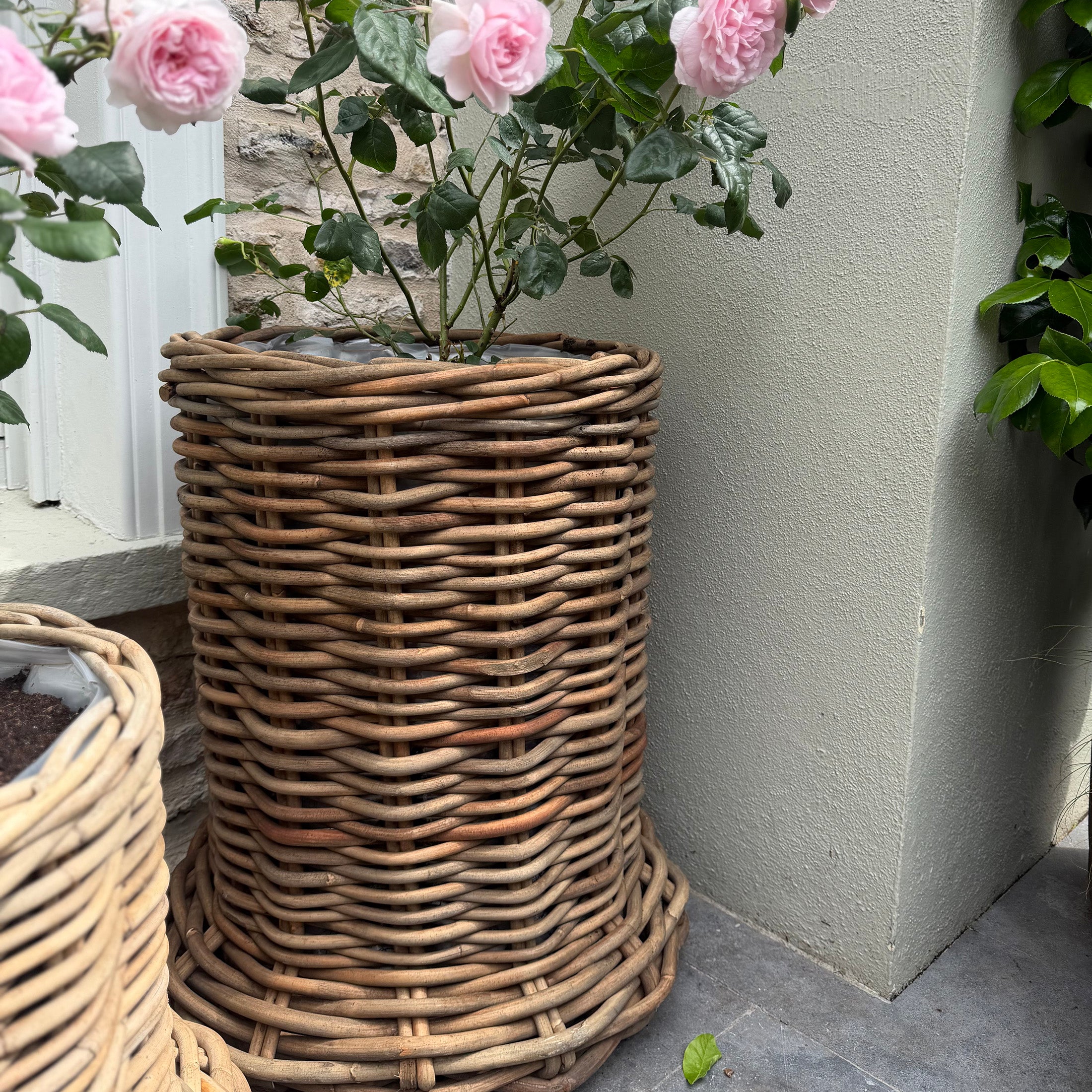 Beautiful X-Large Rattan Grey Pot