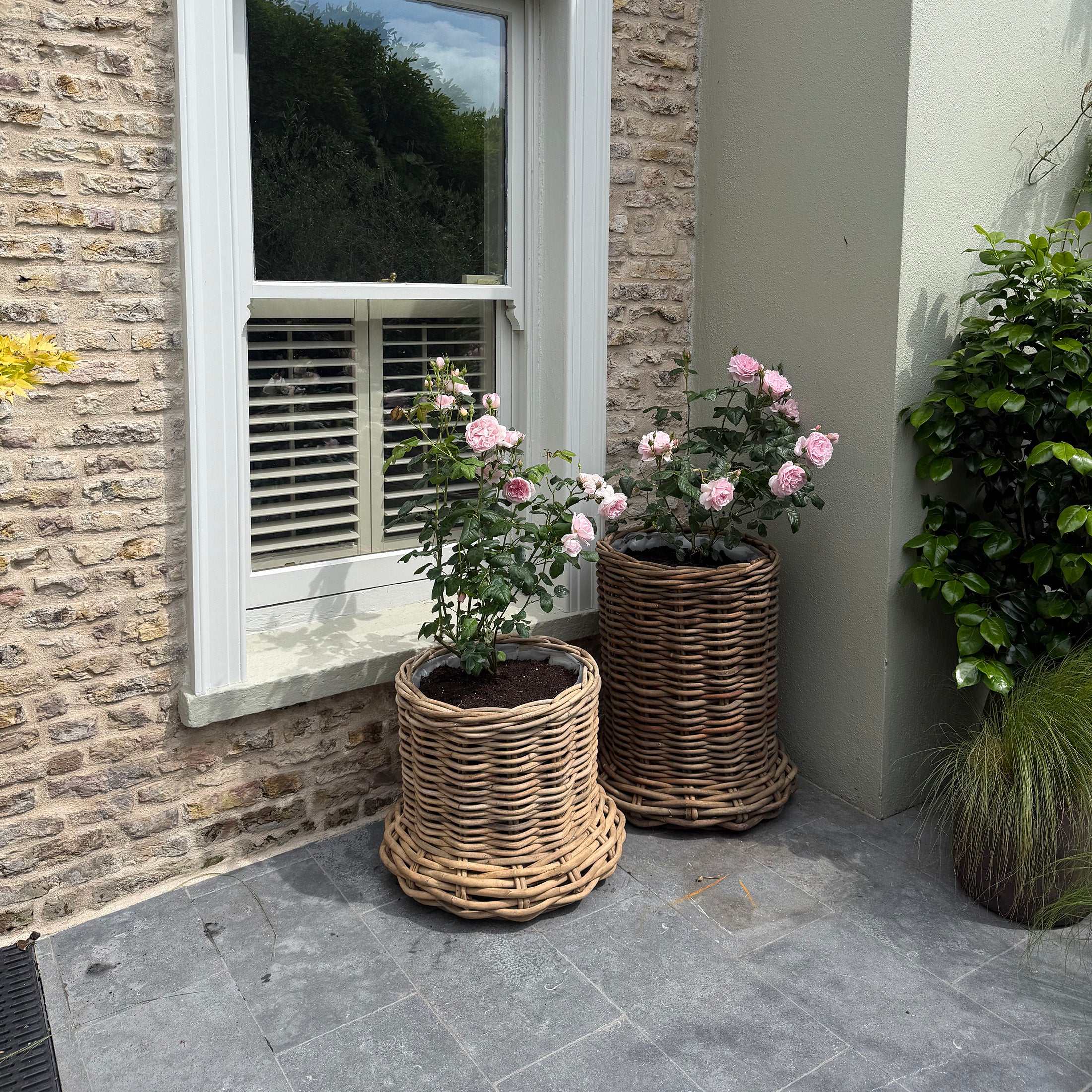 Beautiful X-Large Rattan Grey Pot