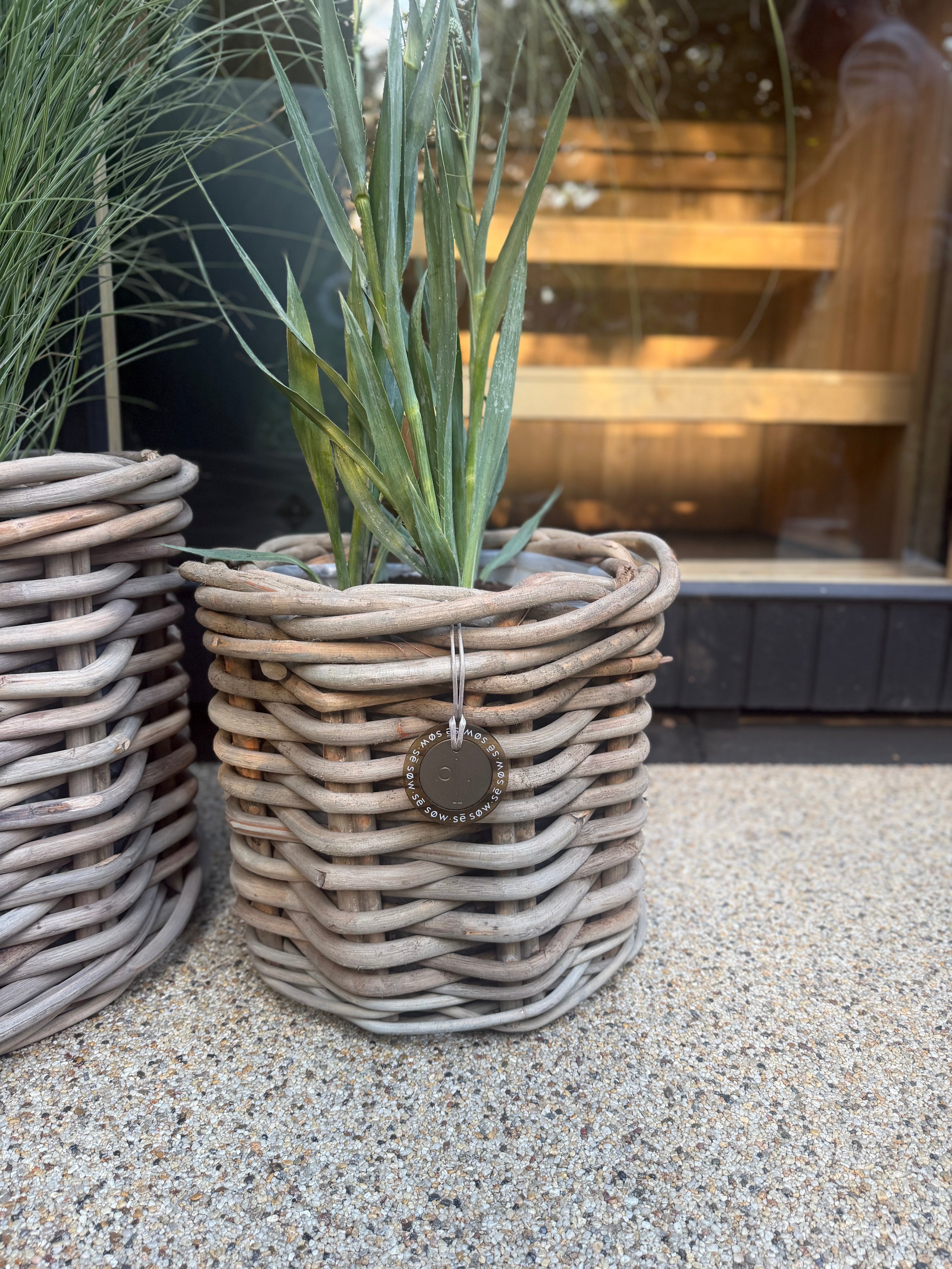 Large Round Rattan Pot