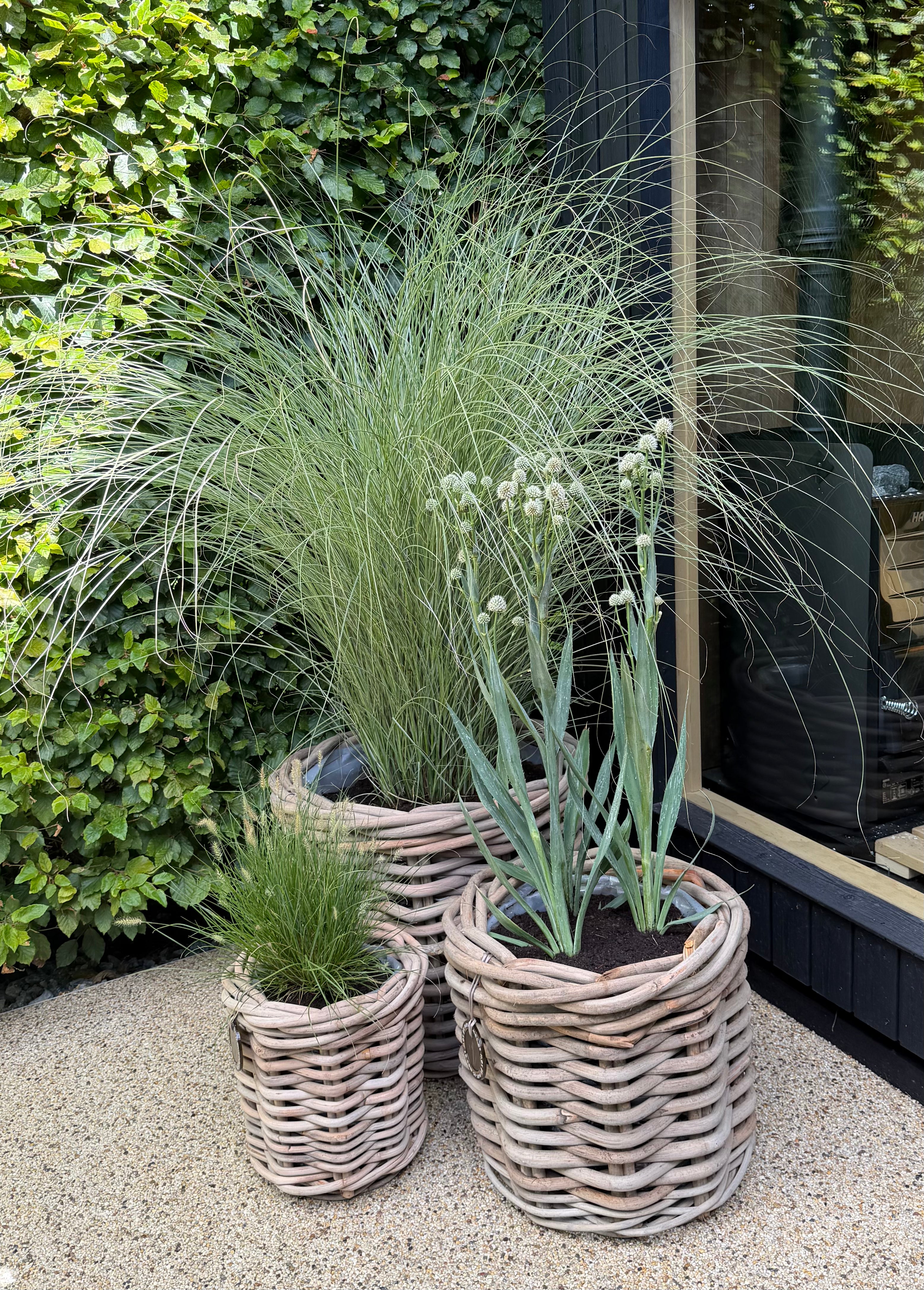 Large Round Rattan Pot