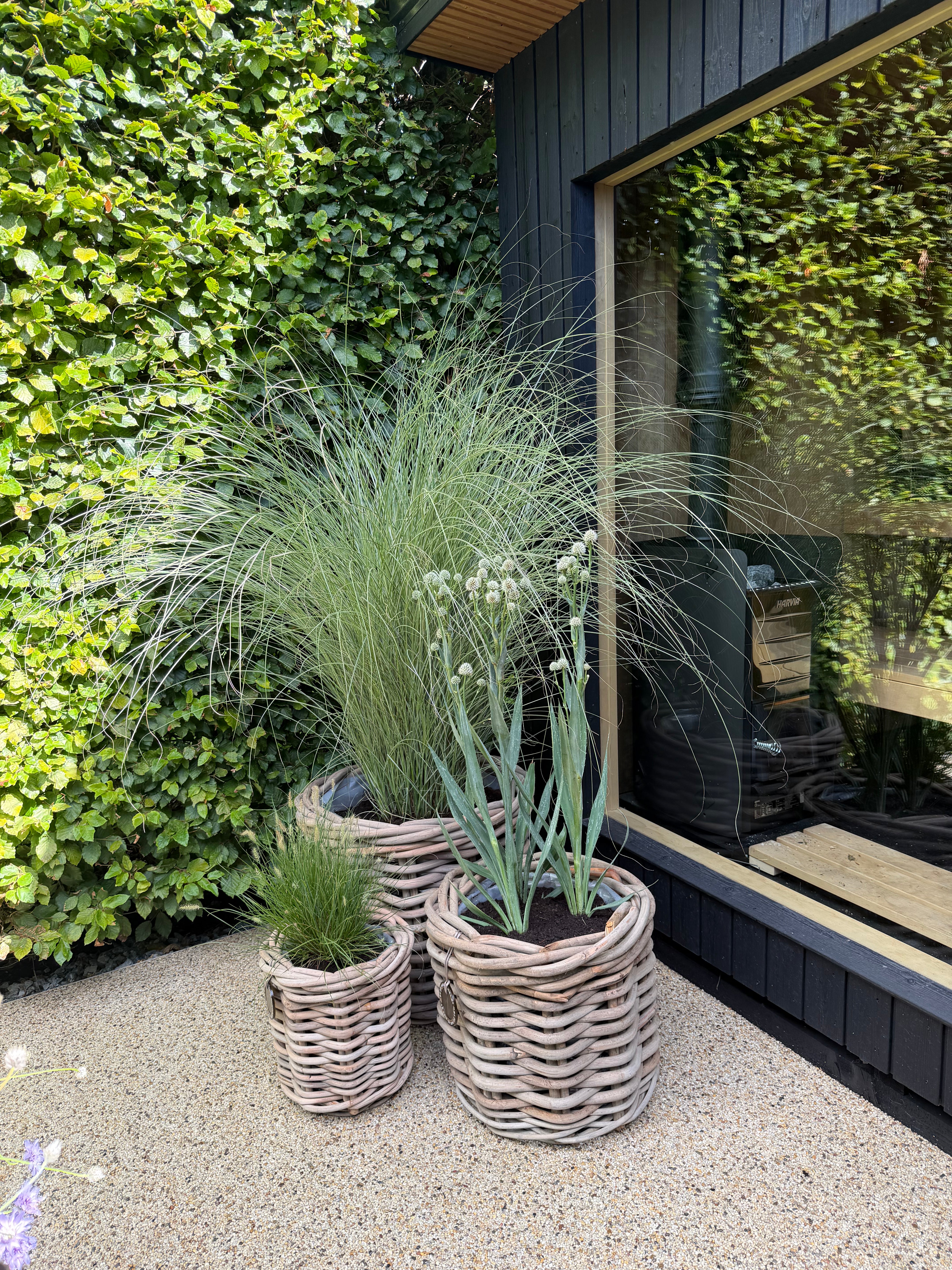 Large Round Rattan Pot