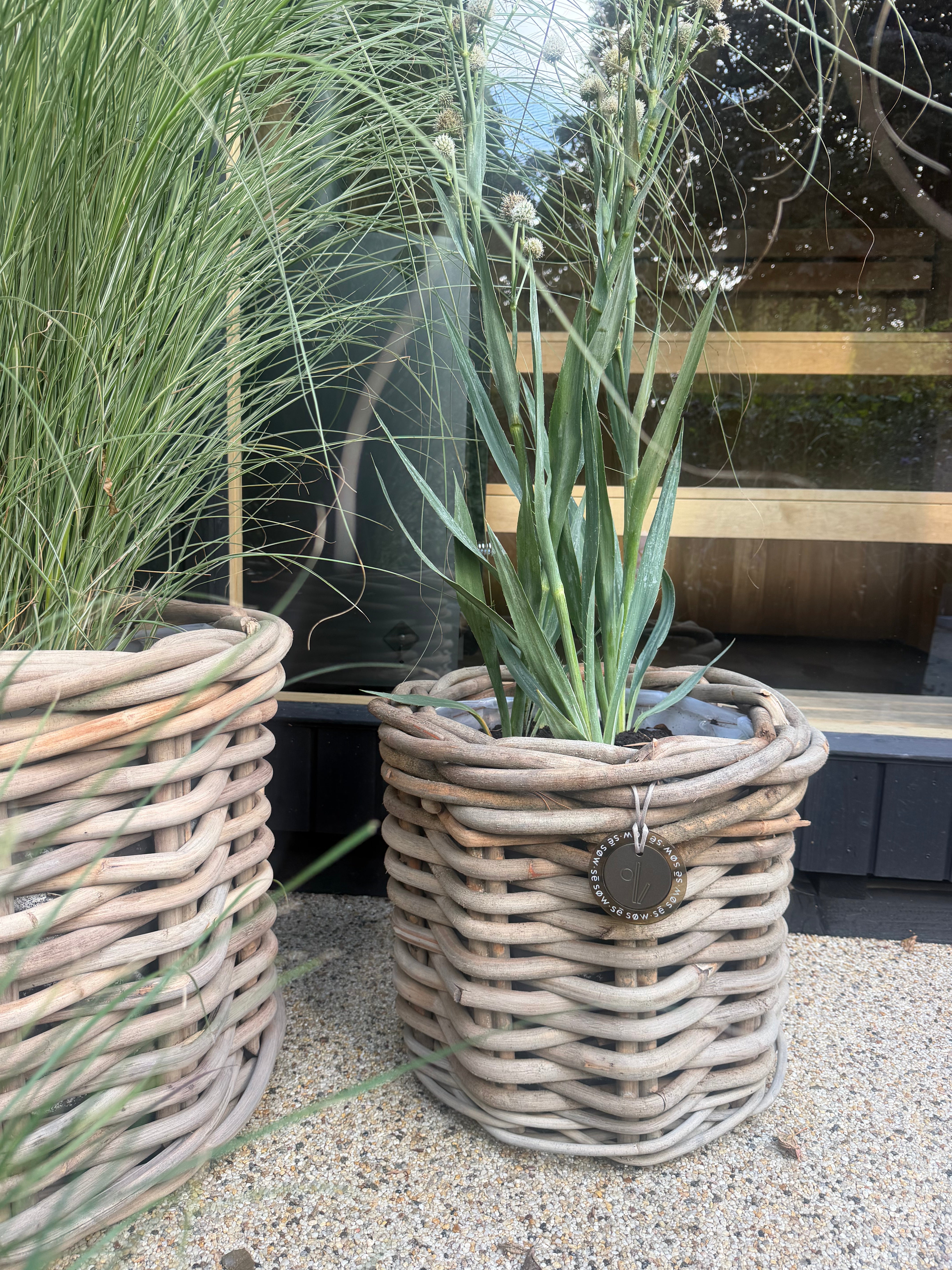 Large Round Rattan Pot