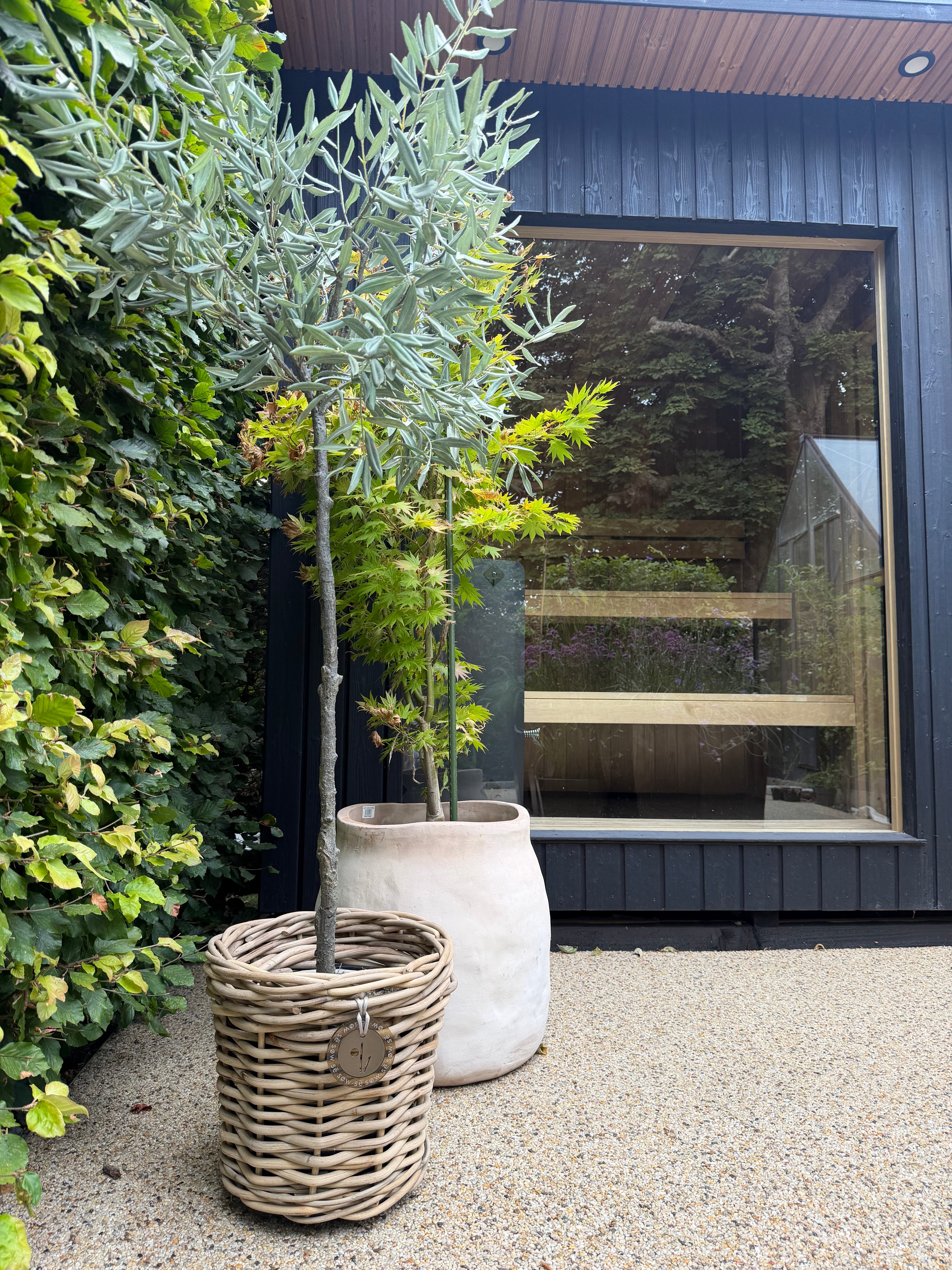 Beautiful Small Rattan Grey Pot