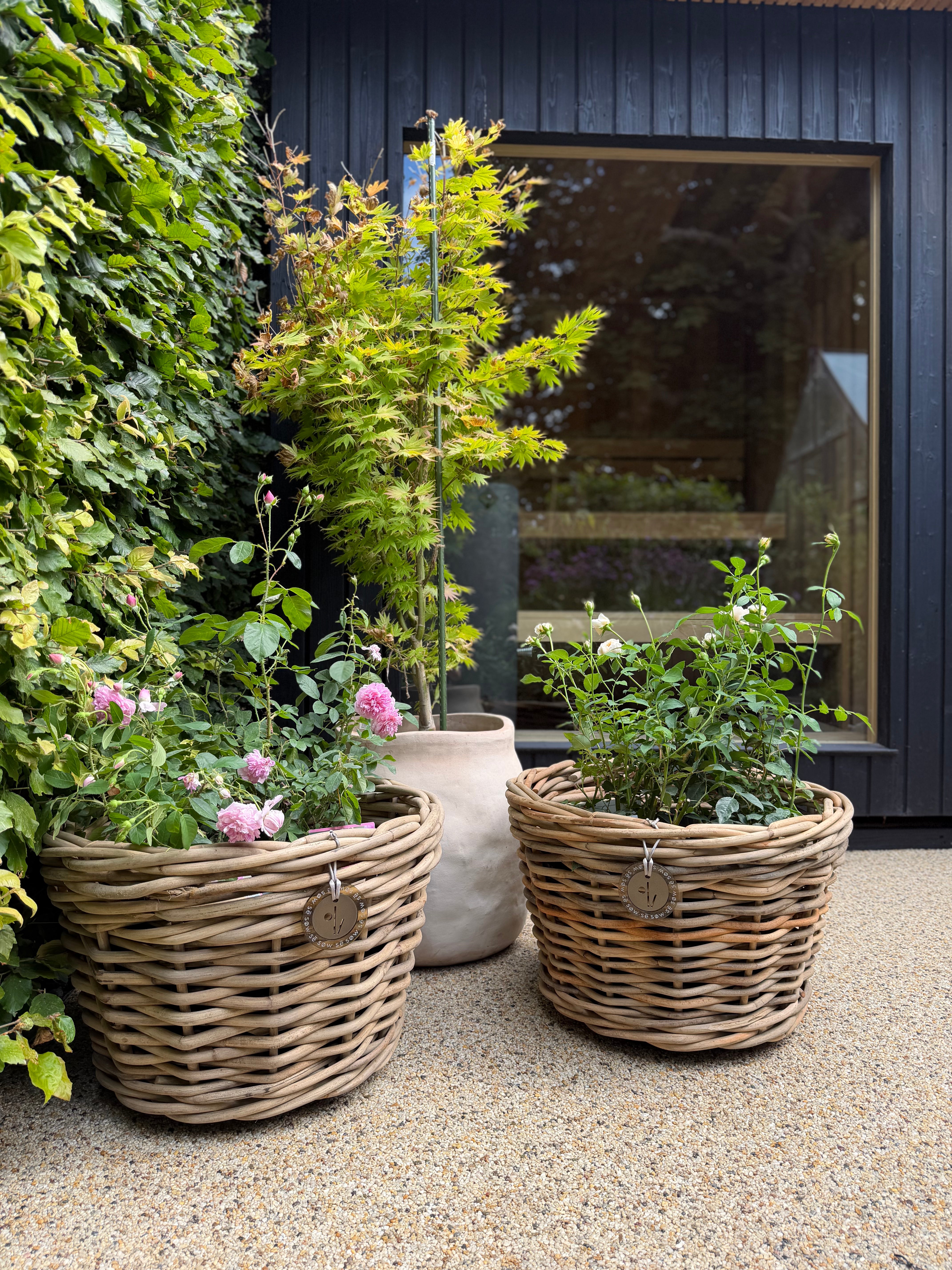 Beautiful Medium Rattan Grey Pot