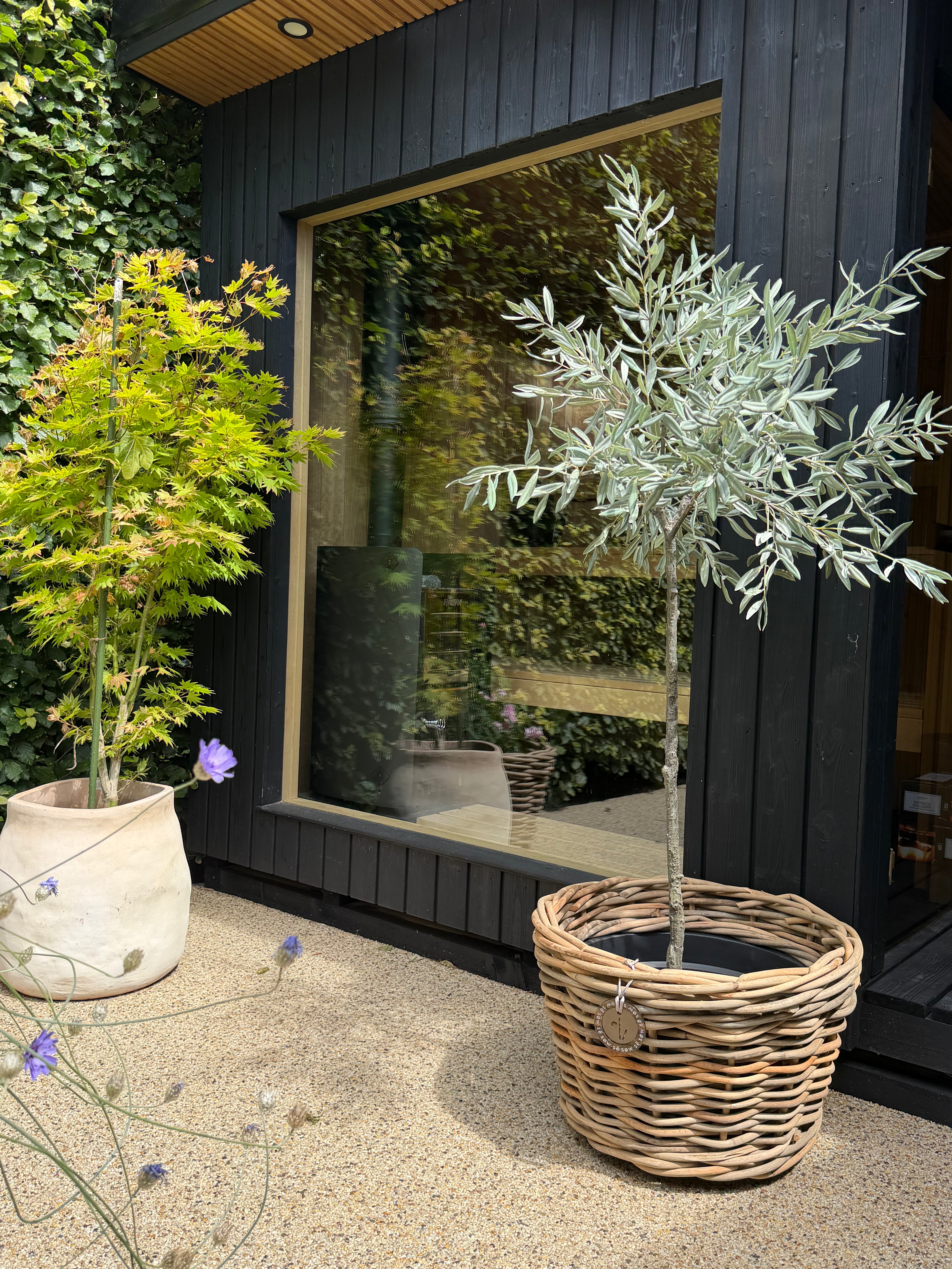 Set of Two Medium Rattan Pots