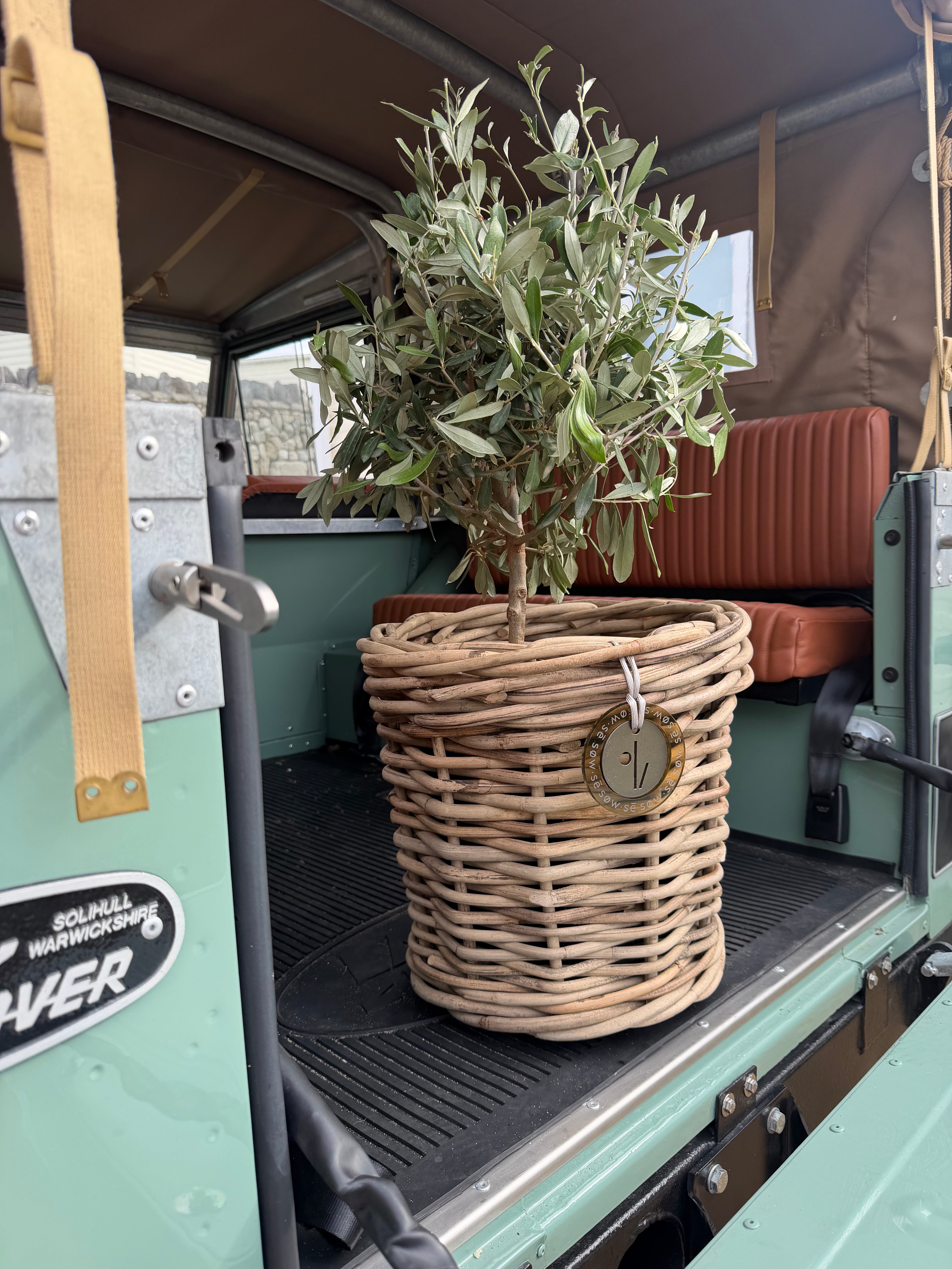 Beautiful Small Rattan Grey Pot