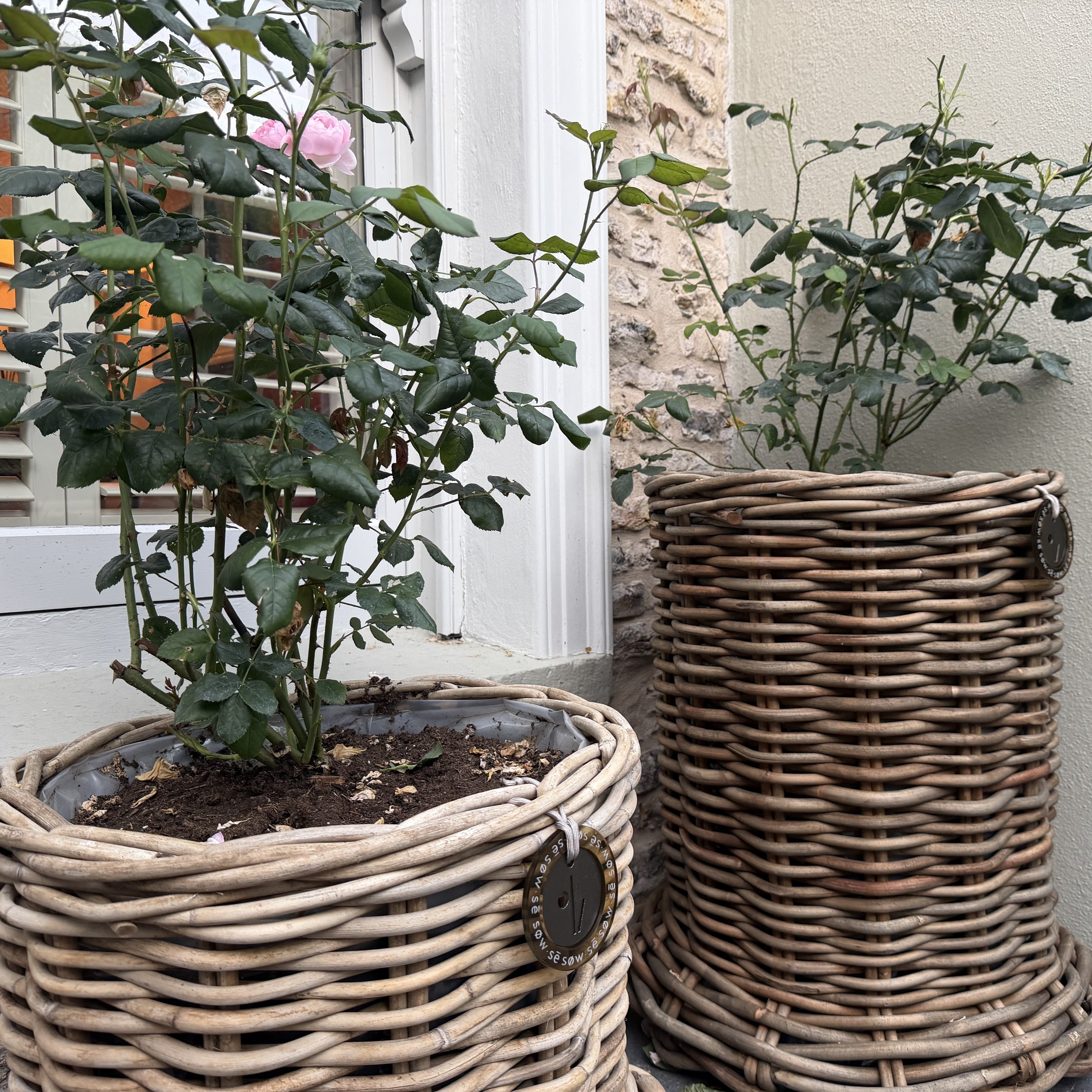 Beautiful Large Rattan Grey Pot