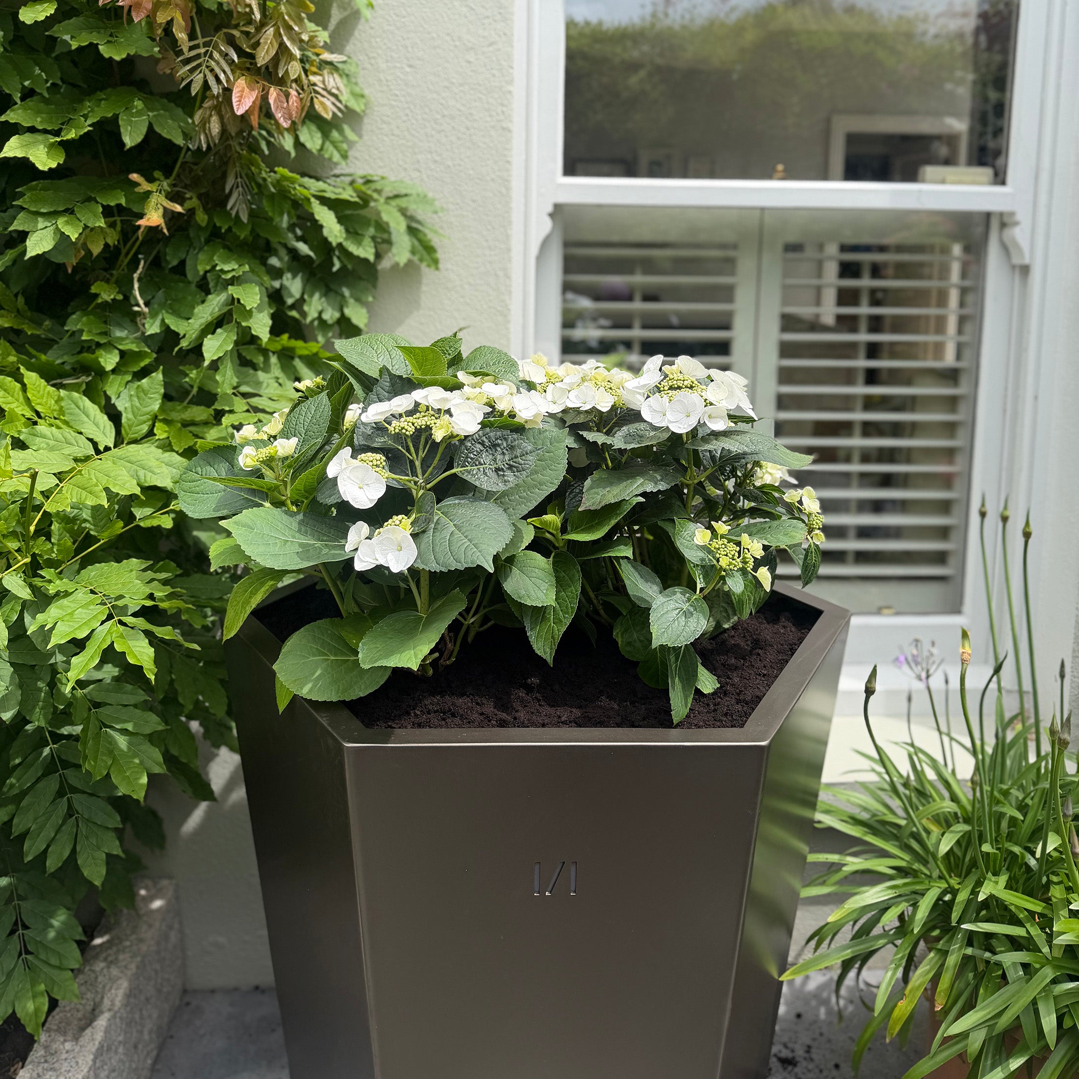 Extra Large Bronzed Steel Planter