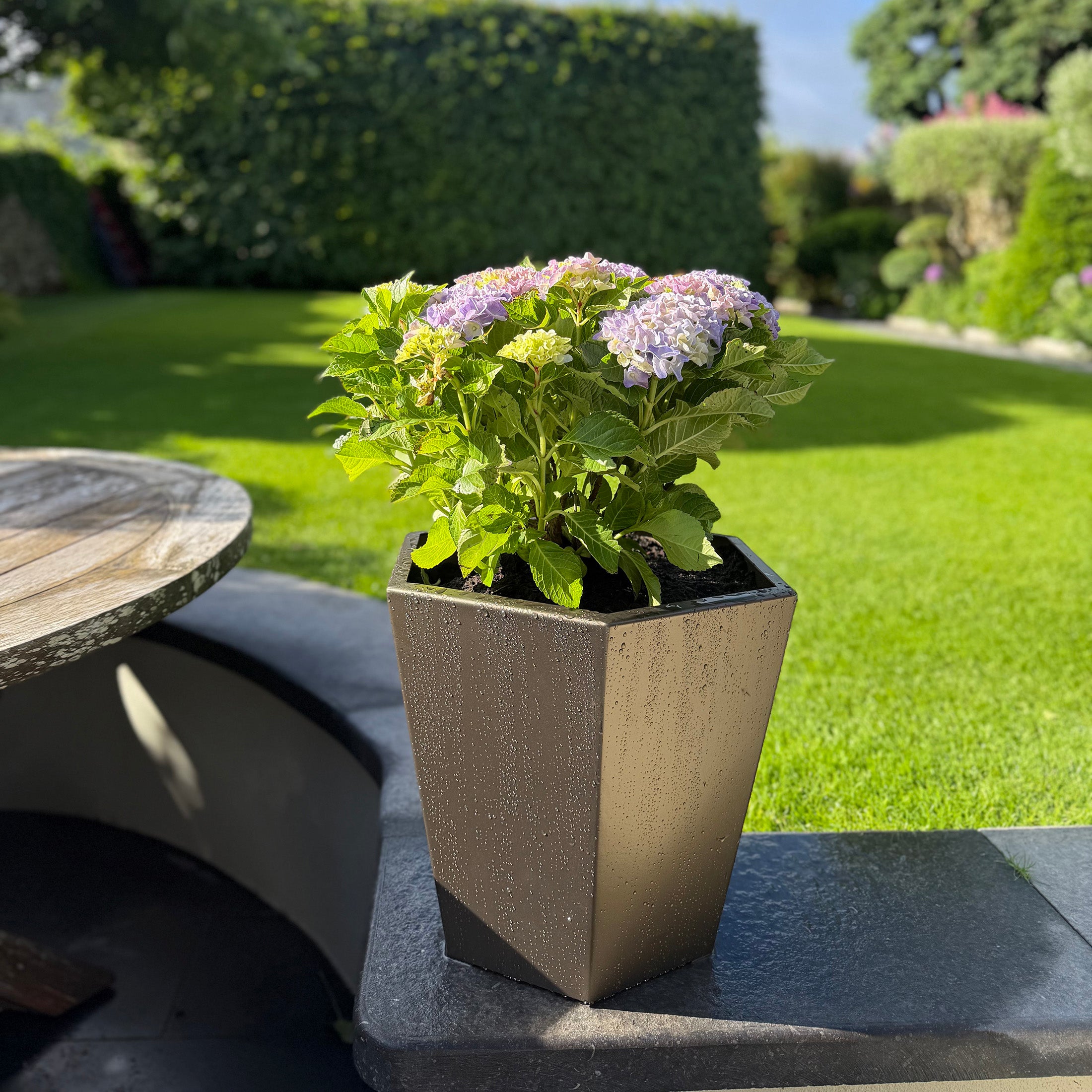 Medium Bronzed Steel Planter