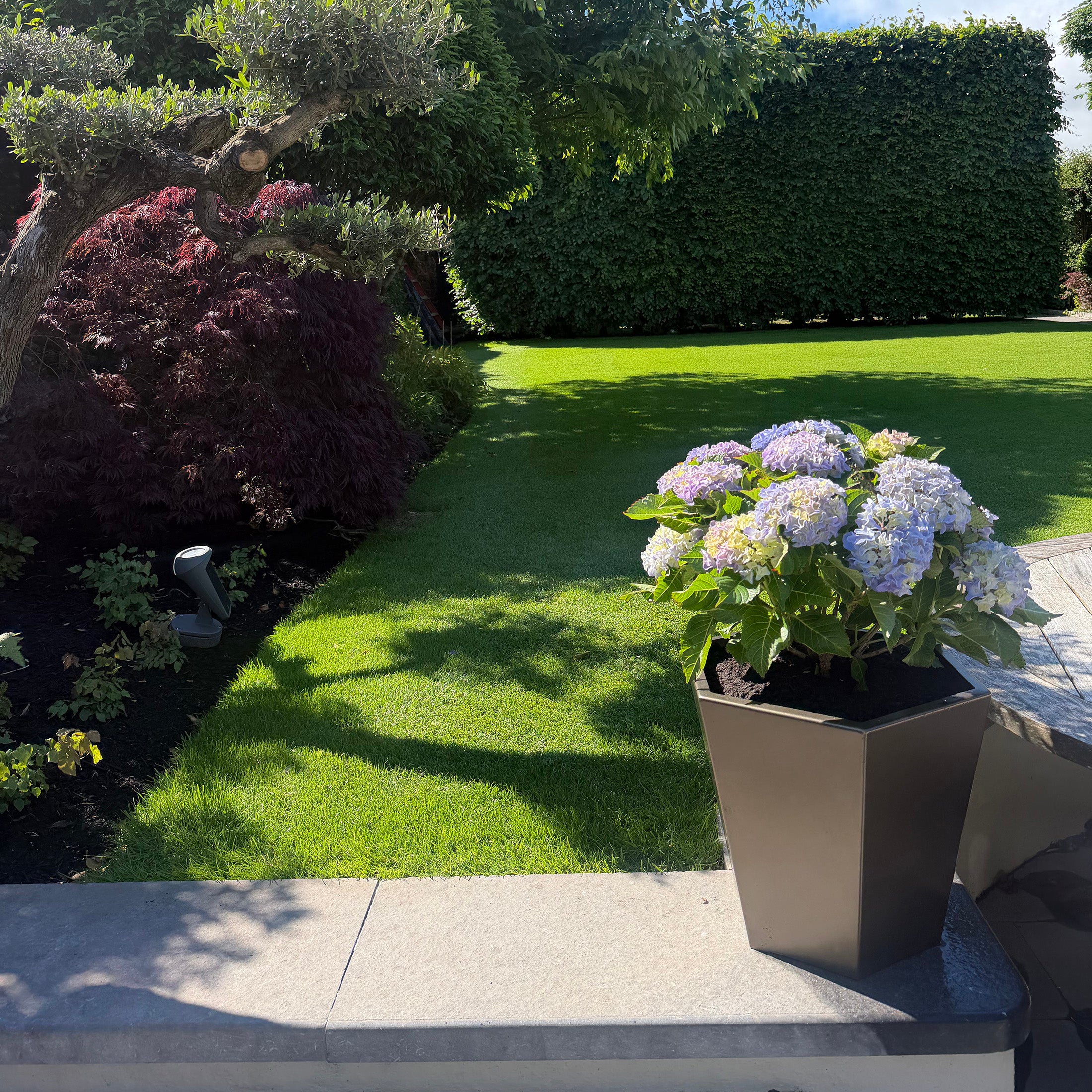 Medium Bronzed Steel Planter