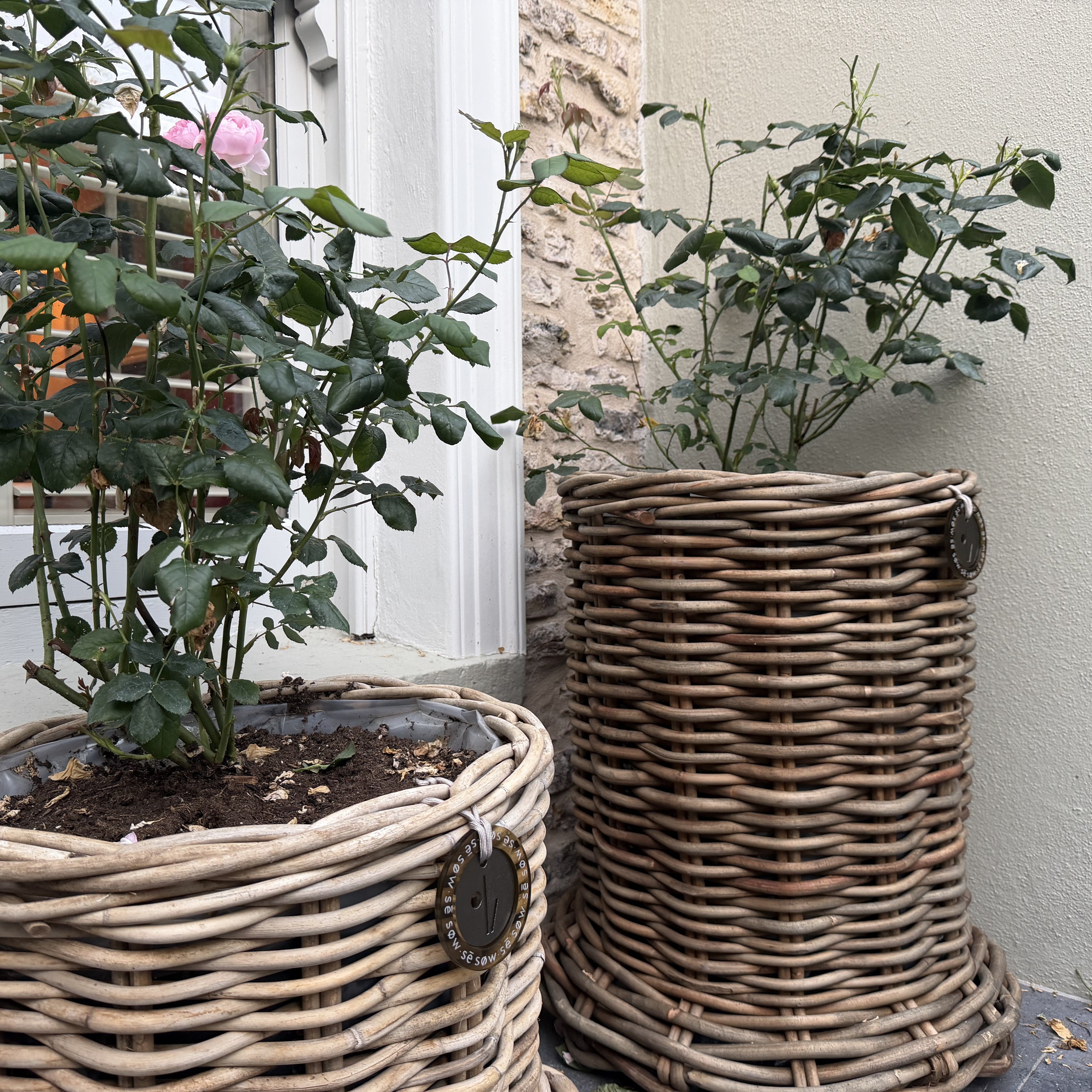 Beautiful X-Large Rattan Grey Pot